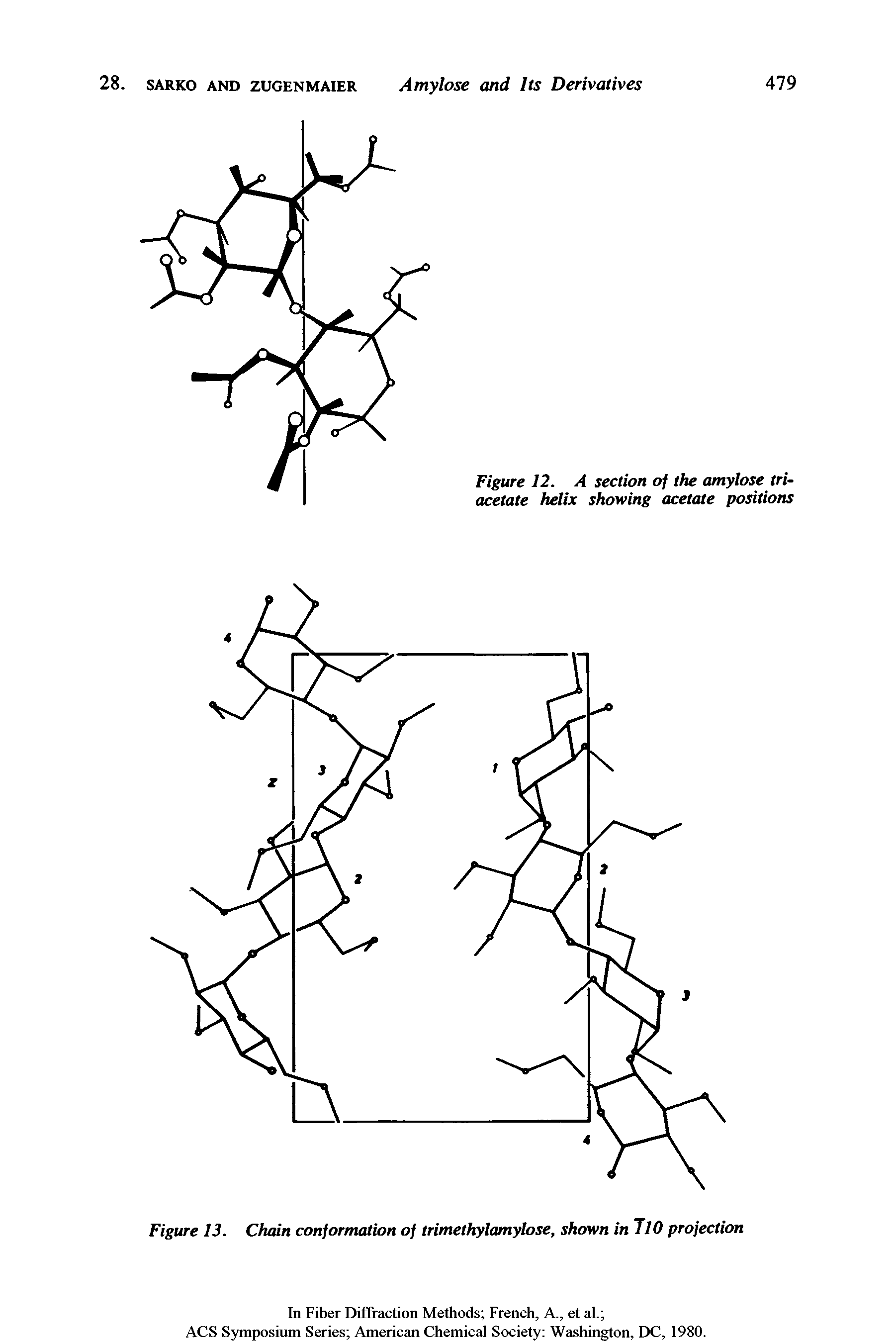 Figure 12. A section of the amylose triacetate helix showing acetate positions...