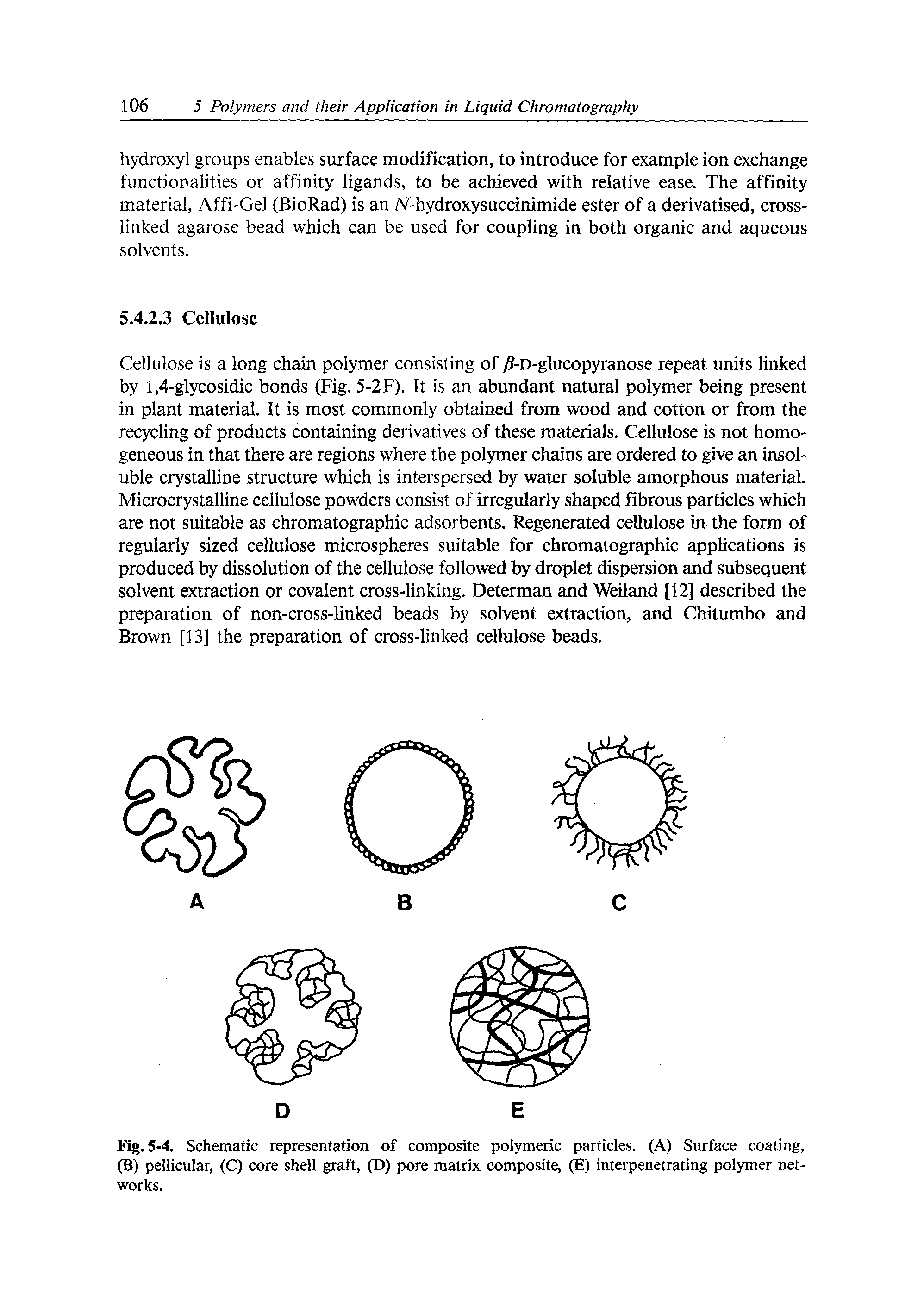 Fig. 5-4. Schematic representation of composite polymeric particles. (A) Surface coating, (B) pellicular, (C) core shell graft, (D) pore matrix composite, (E) interpenetrating polymer networks.