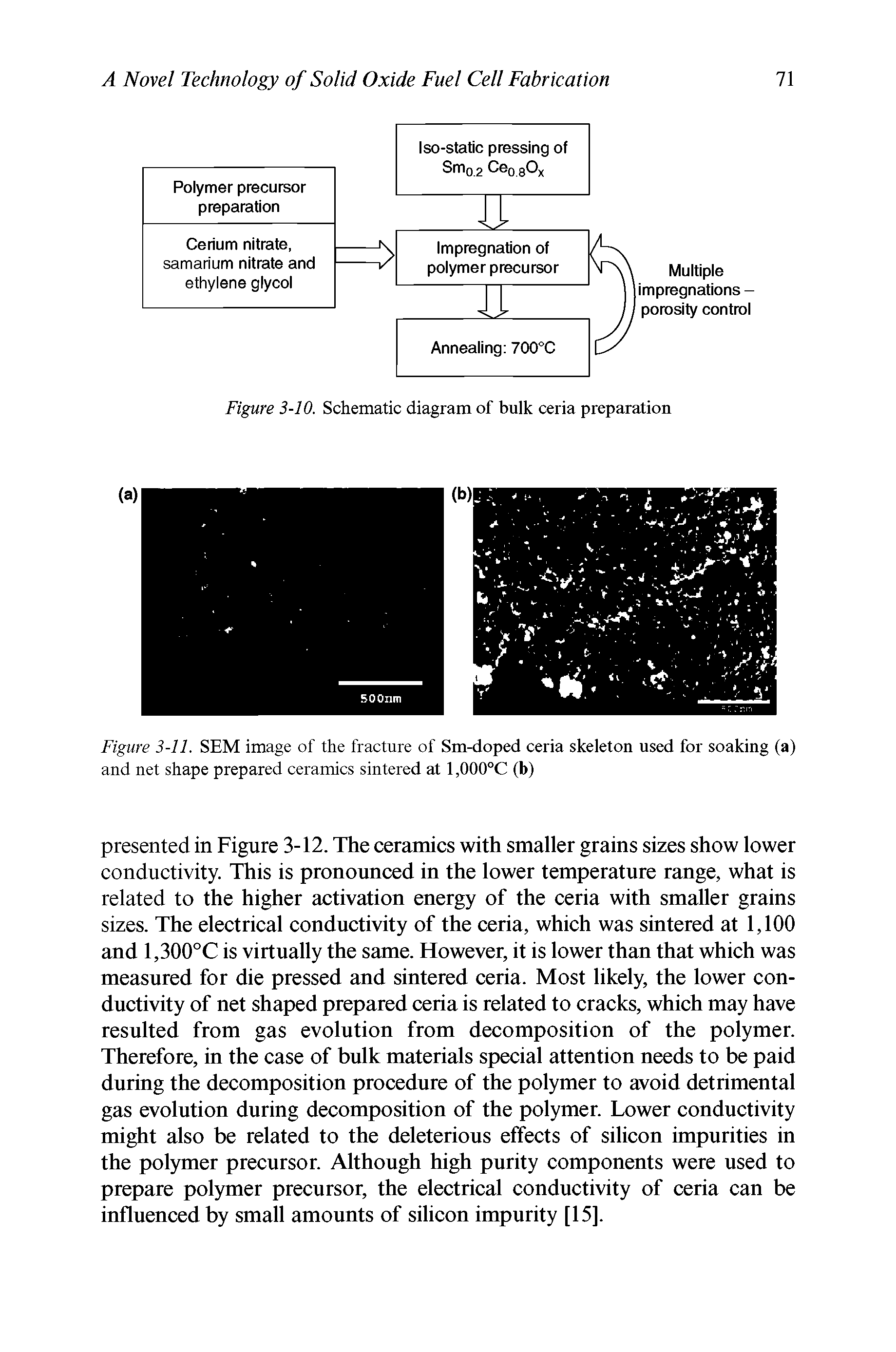 Figure 3-11. SEM image of the fracture of Sm-doped ceria skeleton used for soaking (a) and net shape prepared ceramics sintered at 1,000°C (b)...