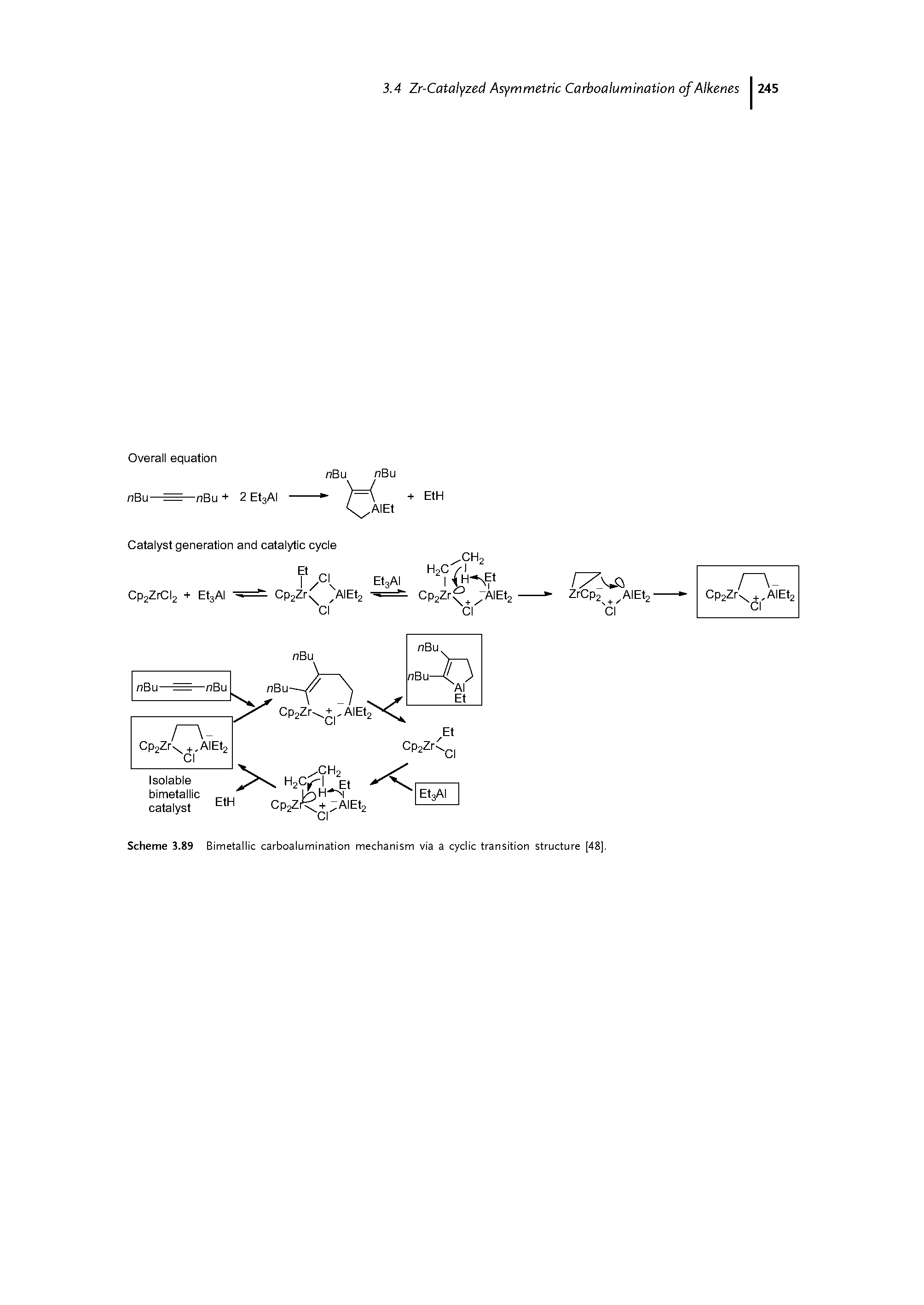 Scheme 3.89 Bimetallic carboalumination mechanism via a cyclic transition structure [48].