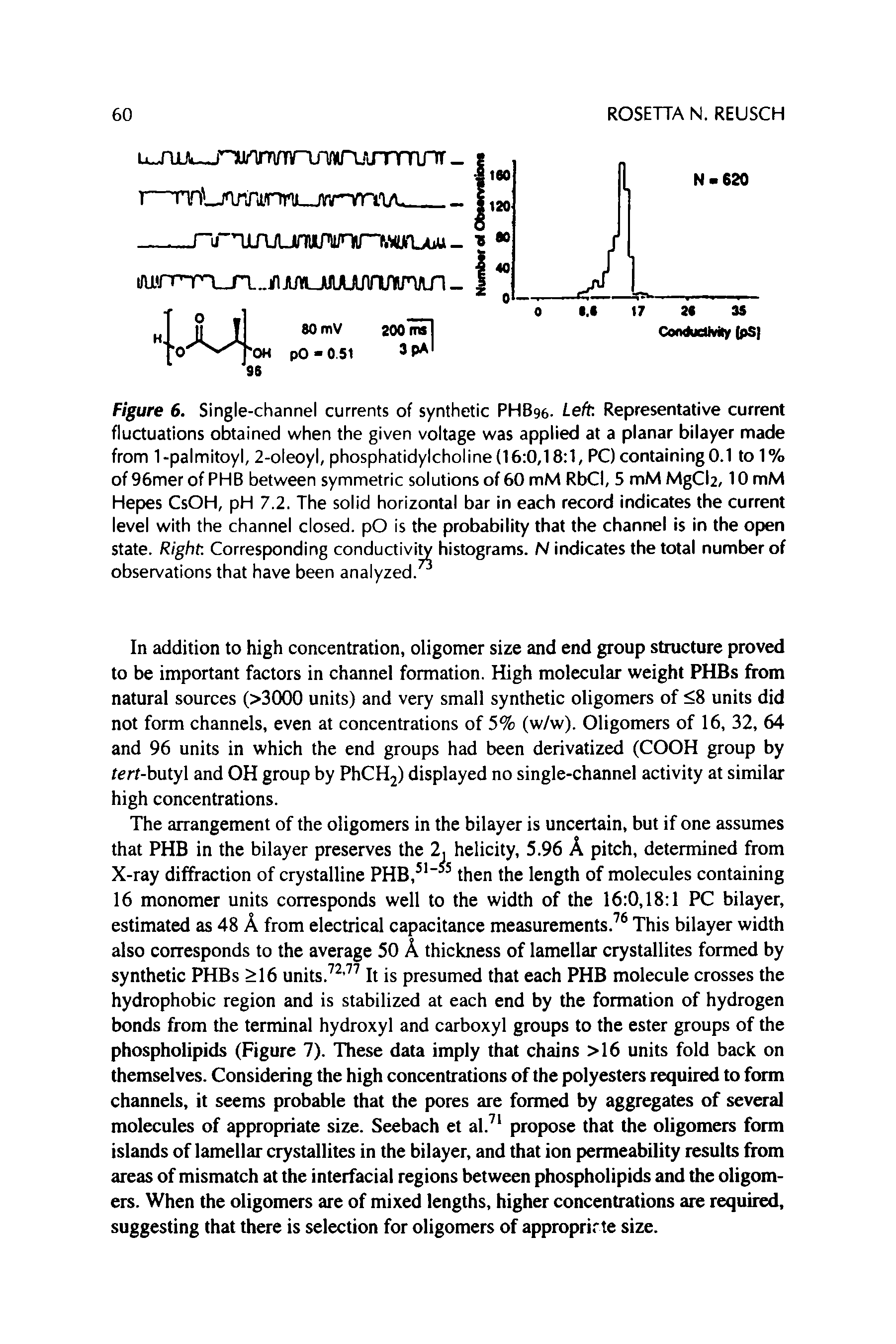 Figure 6. Single-channel currents of synthetic PHB96. Left Representative current fluctuations obtained when the given voltage was applied at a planar bilayer made from 1-palmitoyl, 2-oleoyl, phosphatidylcholine (16 0,18 1, PC) containing0.1 to 1% of 96mer of PHB between symmetric solutions of 60 mM RbCI, 5 mM MgCh, 10 mM Hepes CsOH, pH 7.2. The solid horizontal bar in each record indicates the current level with the channel closed. pO is the probability that the channel is in the open state. Right Corresponding conductivity histograms. N indicates the total number of observations that have been analyzed.