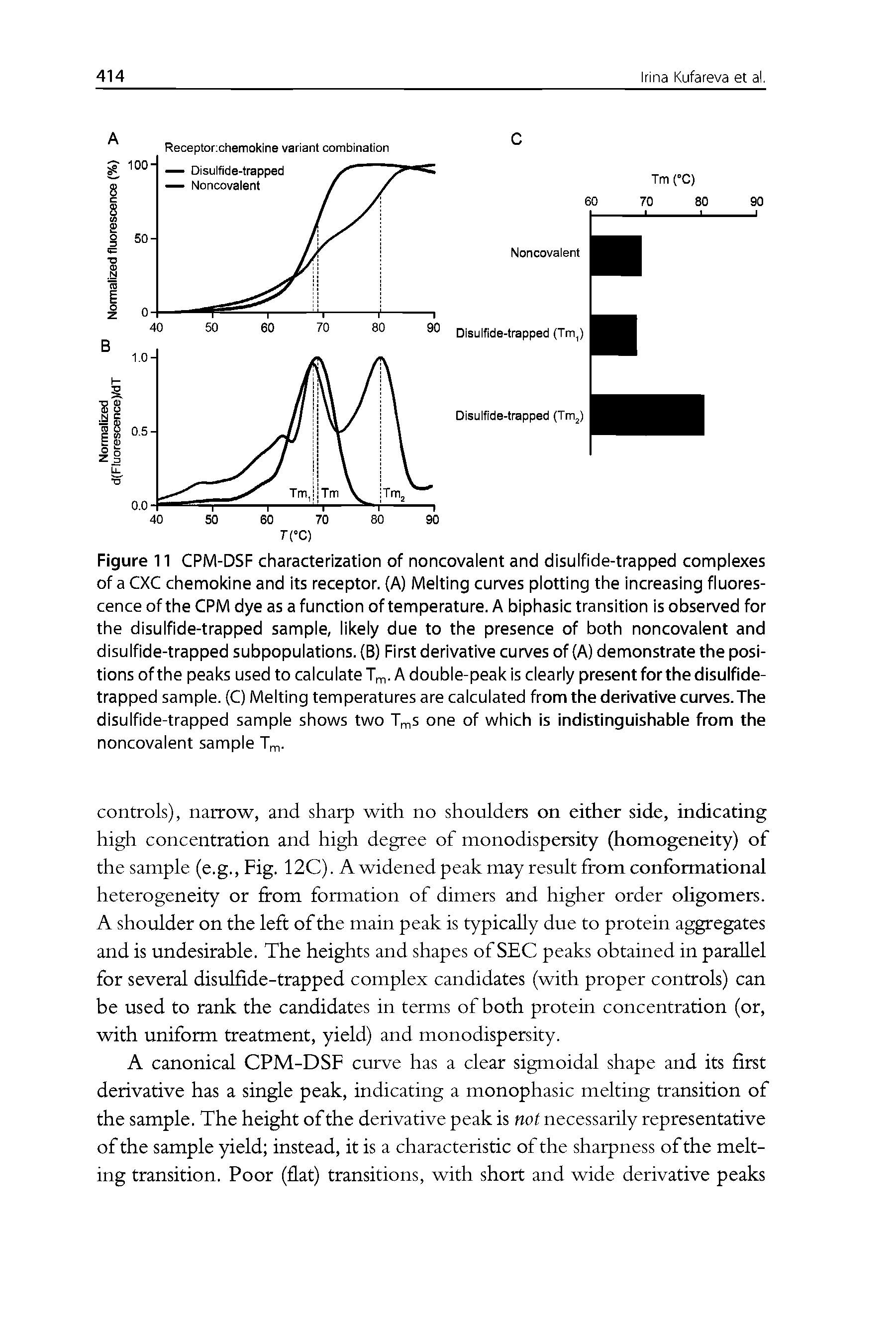 Figure 11 CPM-DSF characterization of noncovalent and disulfide-trapped complexes of a CXC chemokine and its receptor. (A) Melting curves plotting the increasing fluorescence of the CPM dye as a function of temperature. A biphasic transition is observed for the disulfide-trapped sample, likely due to the presence of both noncovalent and disulfide-trapped subpopulations. (B) First derivative curves of (A) demonstrate the positions of the peaks used to calculate Tm- A double-peak is clearly present for the disulfide-trapped sample. (C) Melting temperatures are calculated from the derivative curves.The disulfide-trapped sample shows two TmS one of which is indistinguishable from the noncovalent sample Tm-...