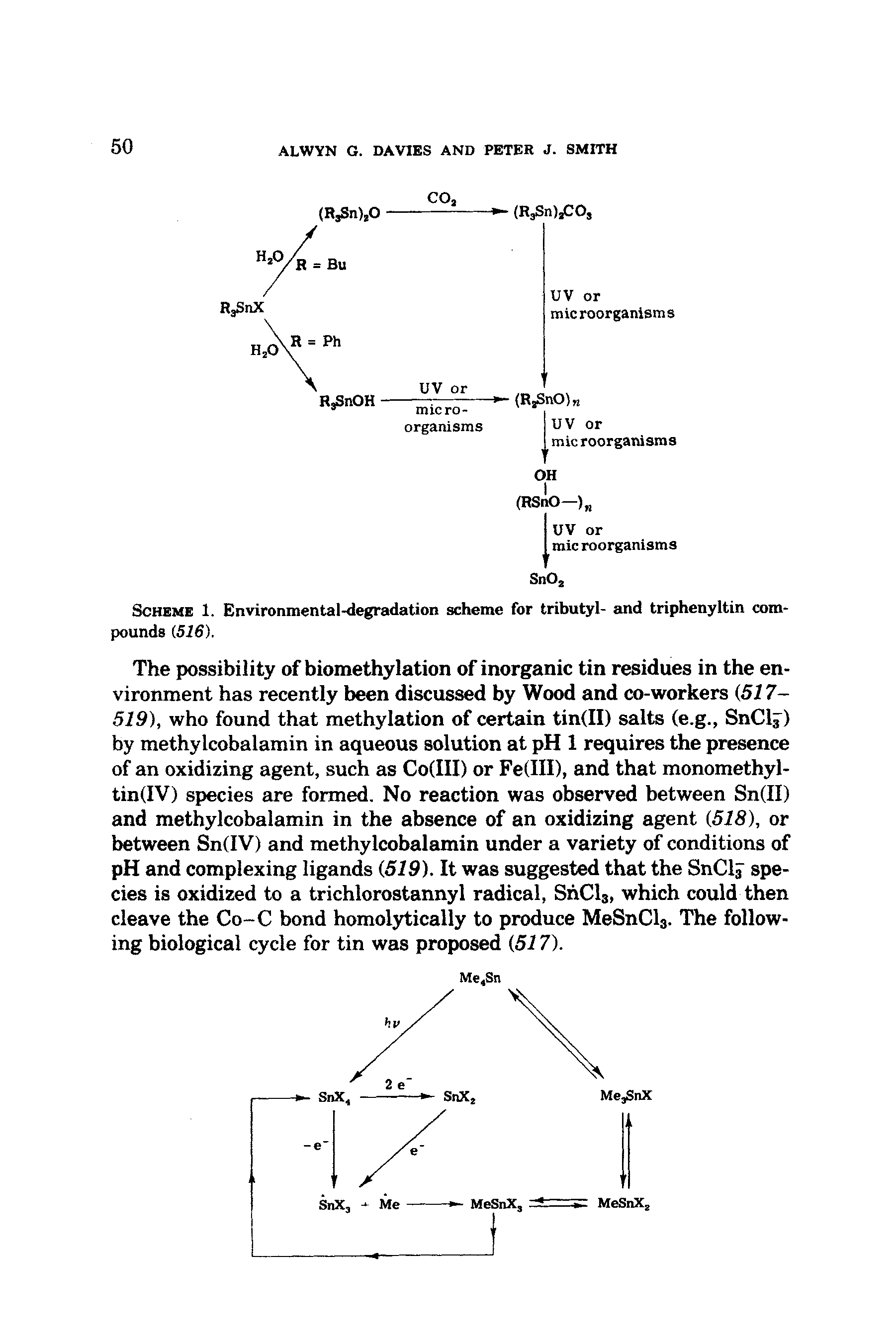 Scheme 1. Environmental-degradation scheme for tributyl- and triphenyltin compounds (.516).