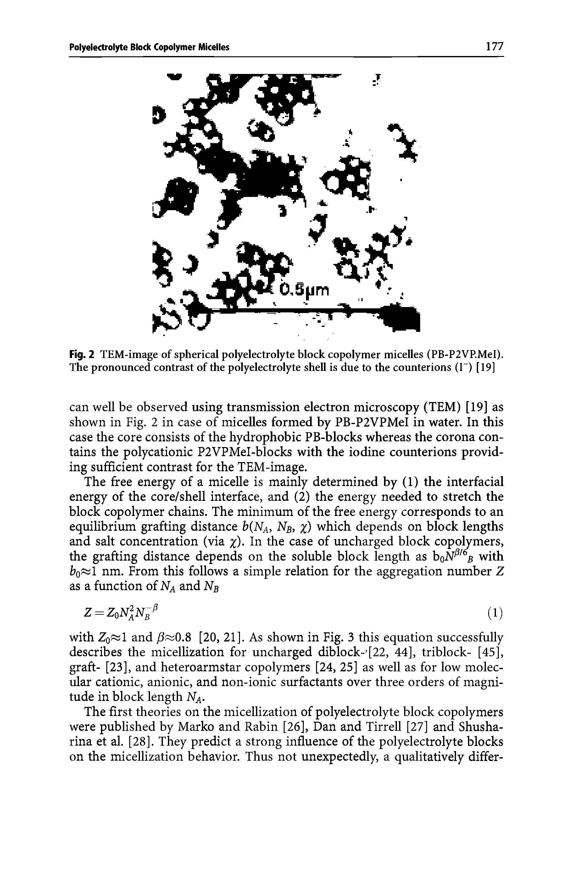 Fig. 2 TEM-image of spherical polyelectrolyte block copolymer micelles (PB-P2VP.MeI). The pronounced contrast of the polyelectrolyte shell is due to the counterions (I-) [19]...