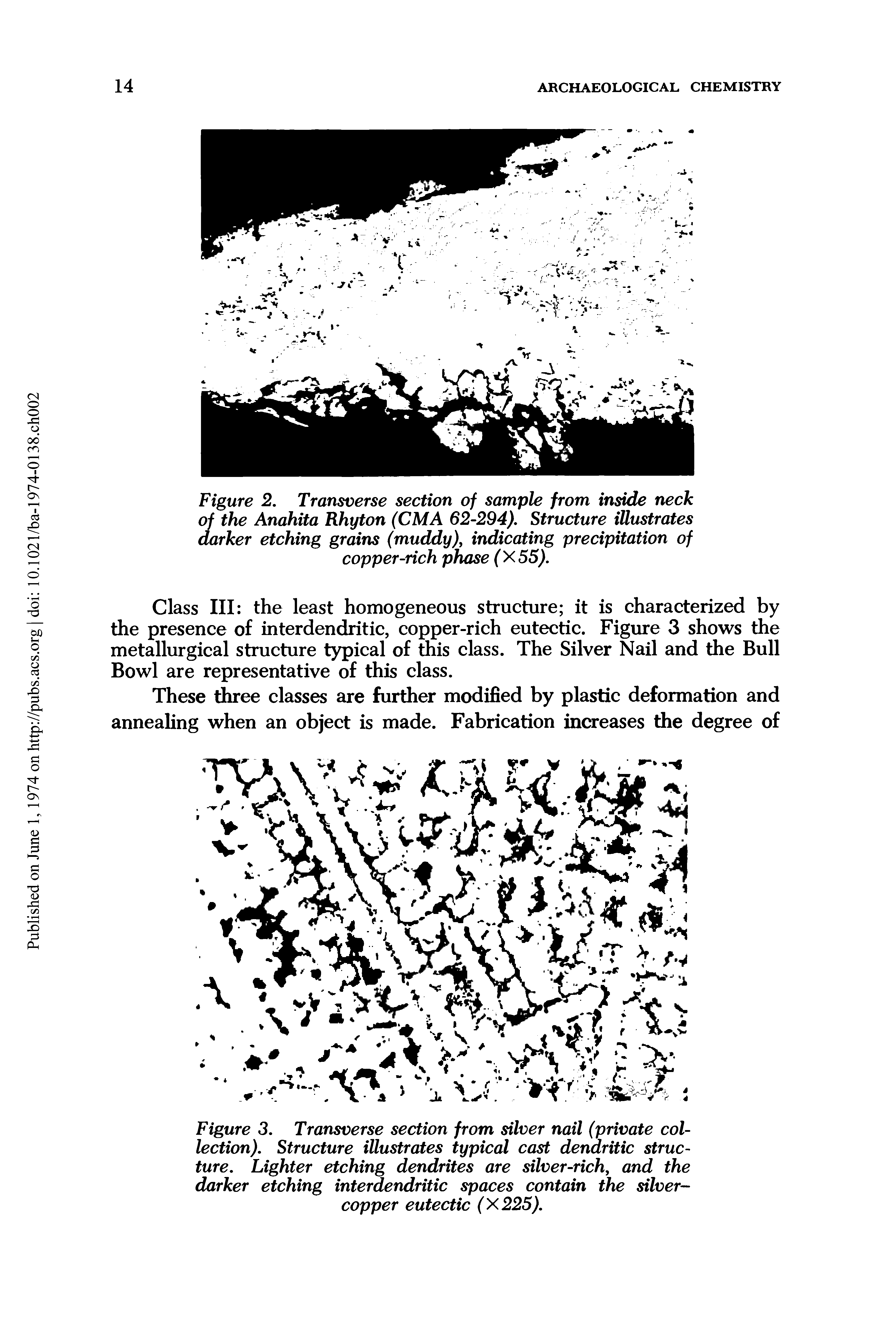 Figure 2. Transverse section of sample from inside neck of the Anahita Rhyton (CM A 62-294). Structure illustrates darker etching grains (muddy), indicating precipitation of copper-rich phase (X55).