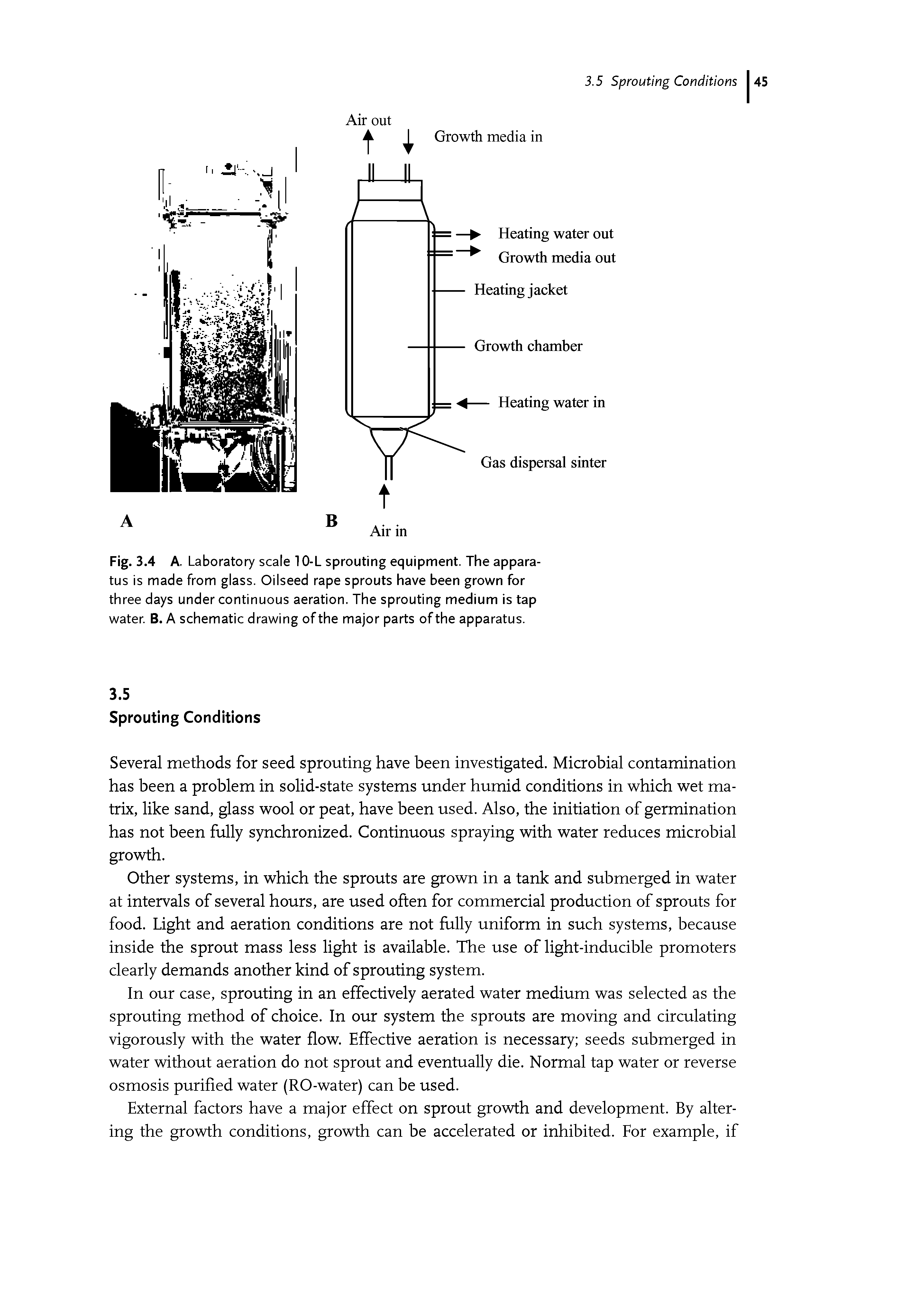 Fig. 3.4 A. Laboratory scale 10-L sprouting equipment. The apparatus is made from glass. Oilseed rape sprouts have been grown for three days under continuous aeration. The sprouting medium is tap water. B. A schematic drawing of the major parts of the apparatus.