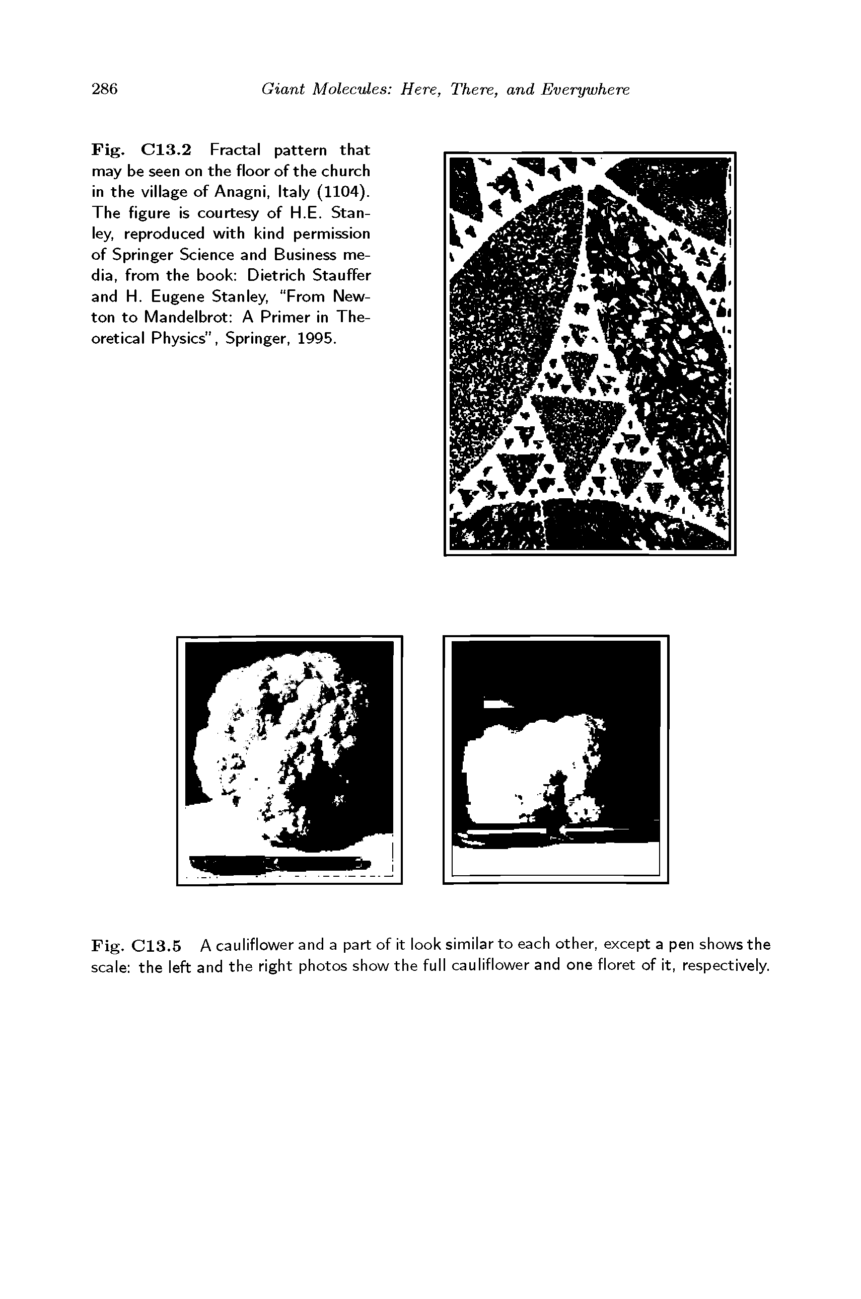 Fig. CIS.2 Fractal pattern that may be seen on the floor of the church in the village of Anagni, Italy (1104). The figure is courtesy of H.E. Stanley, reproduced with kind permission of Springer Science and Business media, from the book Dietrich Stauffer and H. Eugene Stanley, From Newton to Mandelbrot A Primer in Theoretical Physics , Springer, 1995.