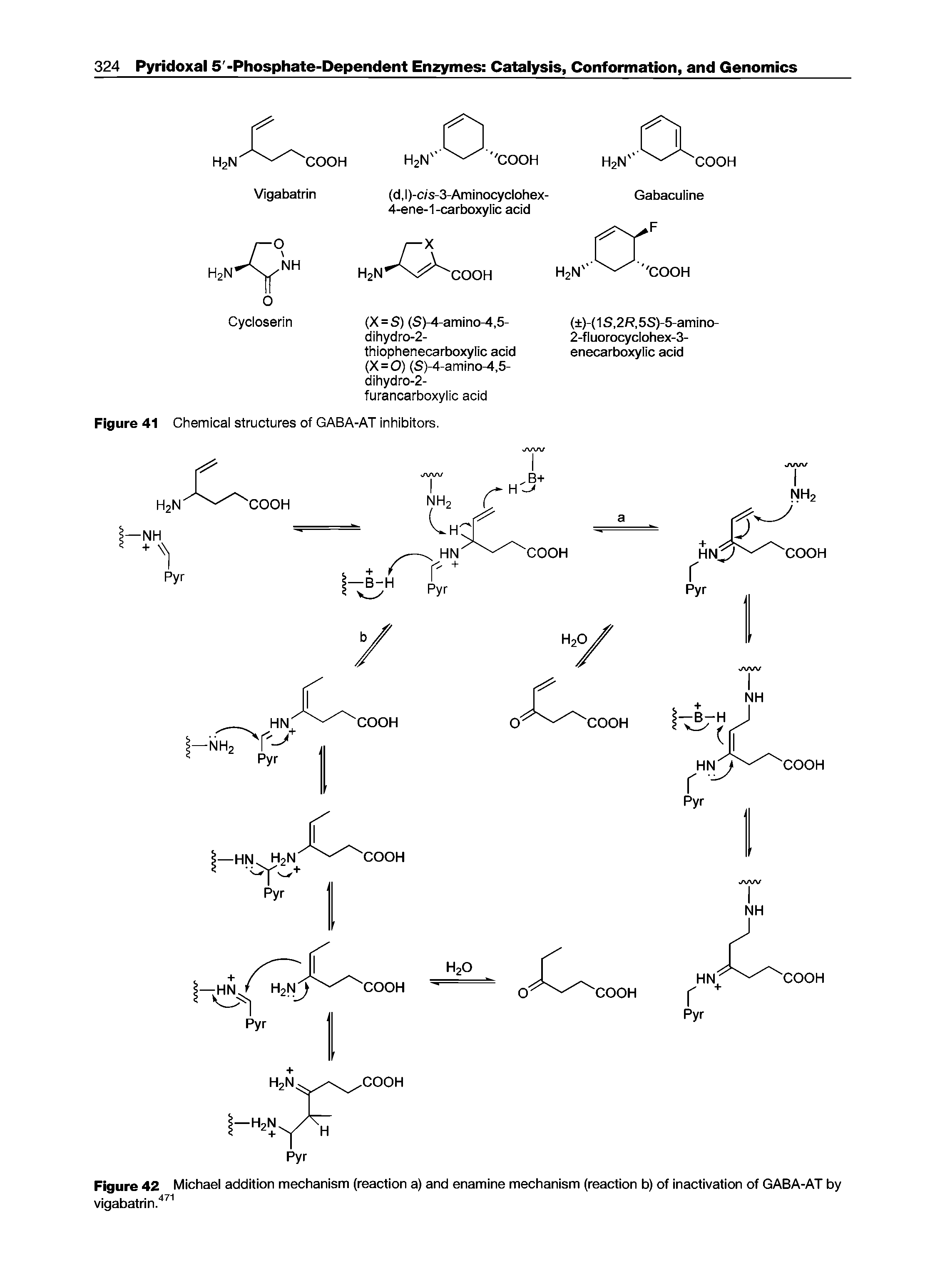 Figure 42 Michael addition mechanism (reaction a) and enamine mechanism (reaction b) of inactivation of GABA-AT by...