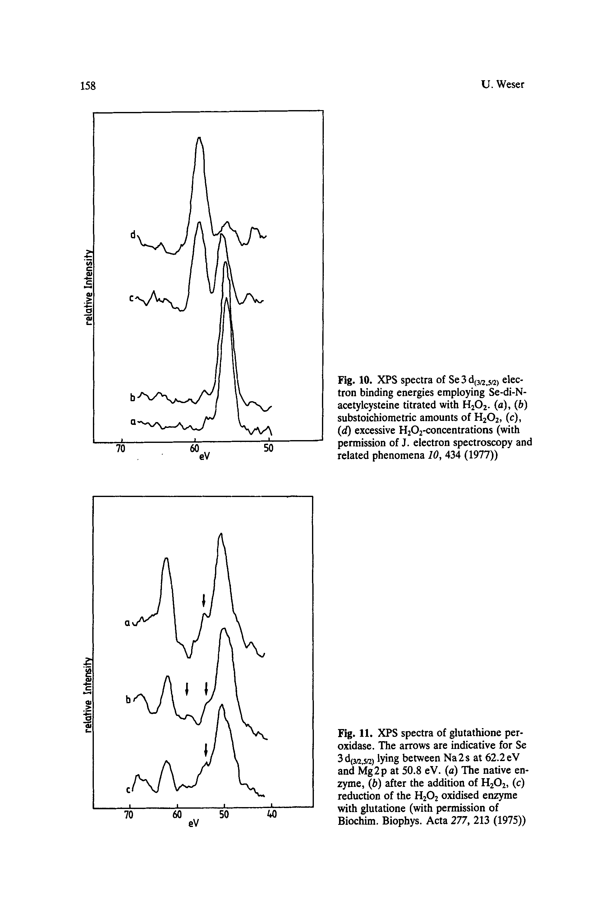 Fig. 10. XPS spectra of Se 3 electron binding energies employing Se-di-N-acetylcysteine titrated with H2O2. (a), (b) substoichlometric amounts of H2O2, (c), (d) excessive H202-concentrations (with permission of J. electron spectroscopy and related phenomena 10, 434 (1977))...
