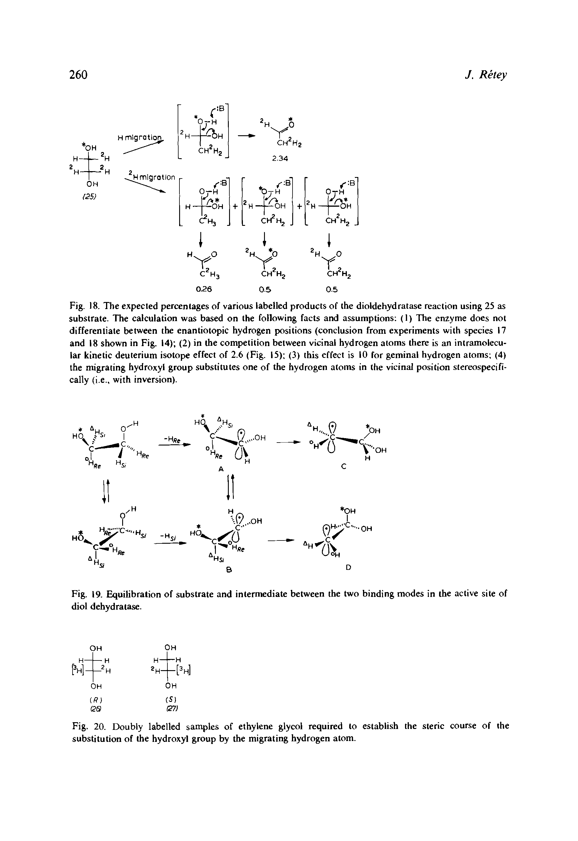 Fig. 18. The expected percentages of various labelled products of the dioldehydratase reaction using 25 as substrate. The calculation was based on the following facts and assumptions (1) The enzyme does not differentiate between the enantiotopic hydrogen positions (conclusion from experiments with species 17 and 18 shown in Fig. 14) (2) in the competition between vicinal hydrogen atoms there is an intramolecular kinetic deuterium isotope effect of 2.6 (Fig. 15) (3) this effect is 10 for geminal hydrogen atoms (4) the migrating hydroxyl group substitutes one of the hydrogen atoms in the vicinal position stereospecifi-cally (i.e., with inversion).