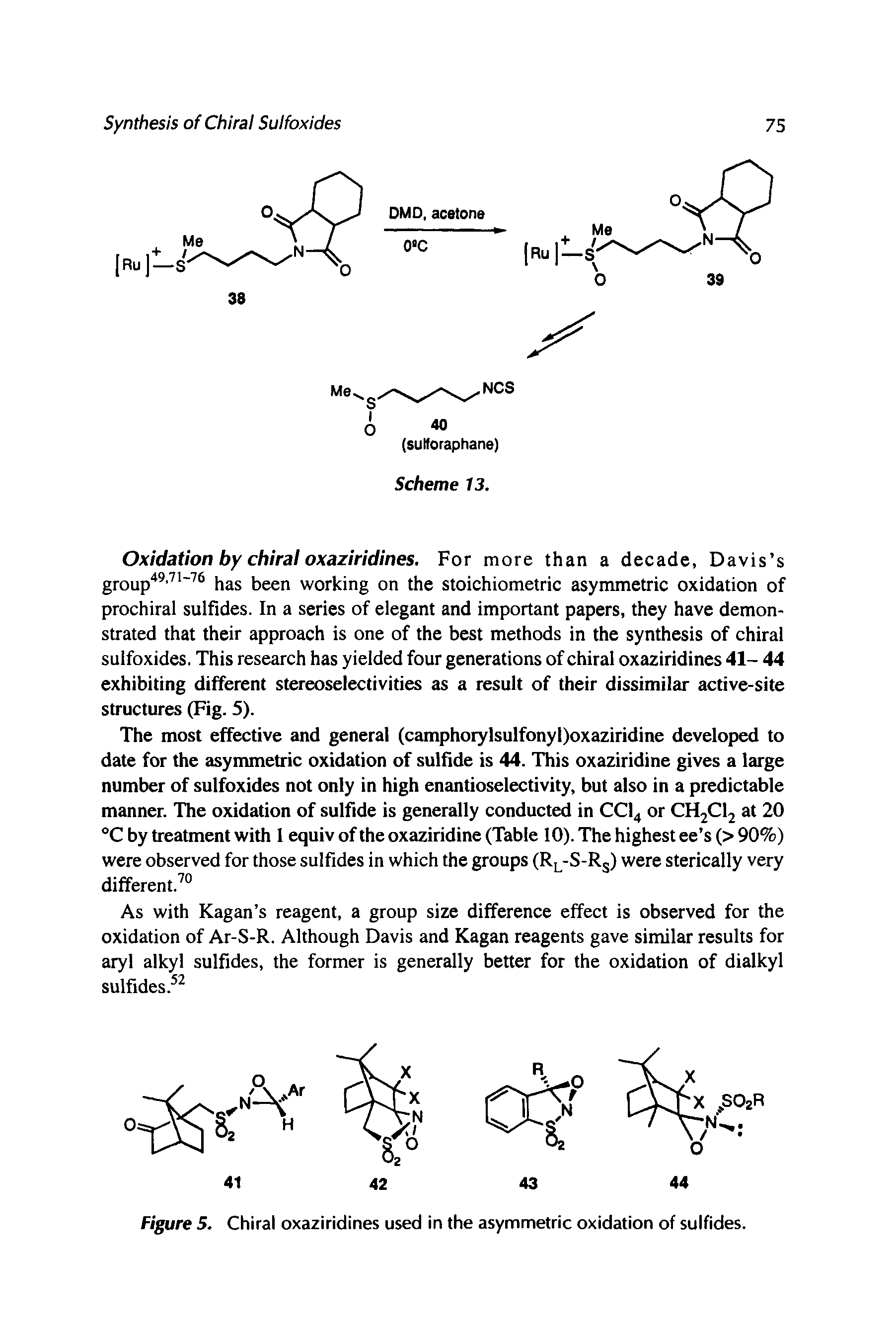 Figure 5. Chiral oxaziridines used in the asymmetric oxidation of sulfides.