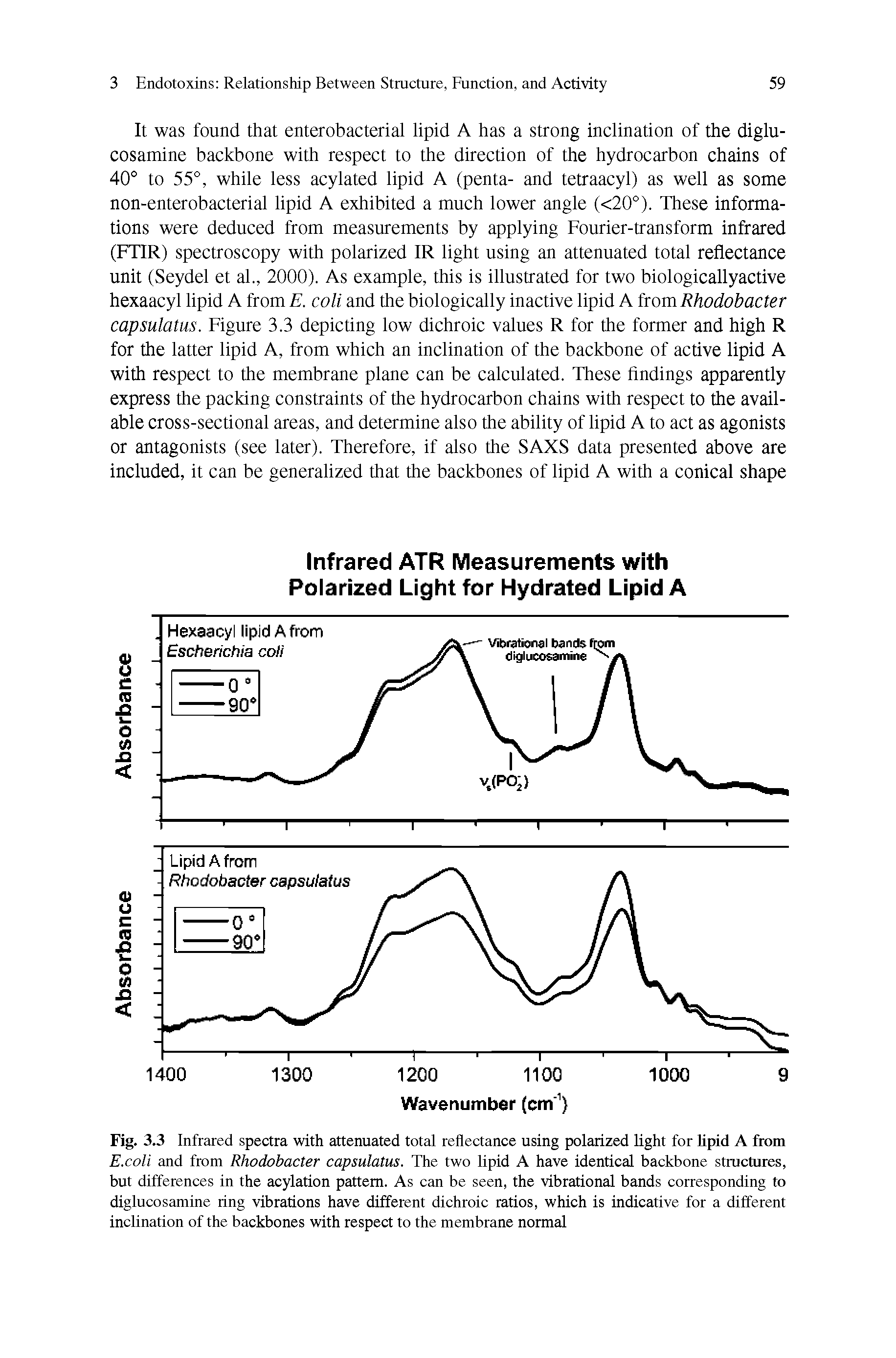 Fig. 3.3 Infrared spectra with attenuated total reflectance using polarized light for lipid A from E.coli and from Rhodobacter capsulatus. The two lipid A have identical backbone structures, but differences in the acylation pattern. As can be seen, the vibrational bands corresponding to diglucosamine ring vibrations have different dichroic ratios, which is indicative for a different inclination of the backbones with respect to the membrane normal...