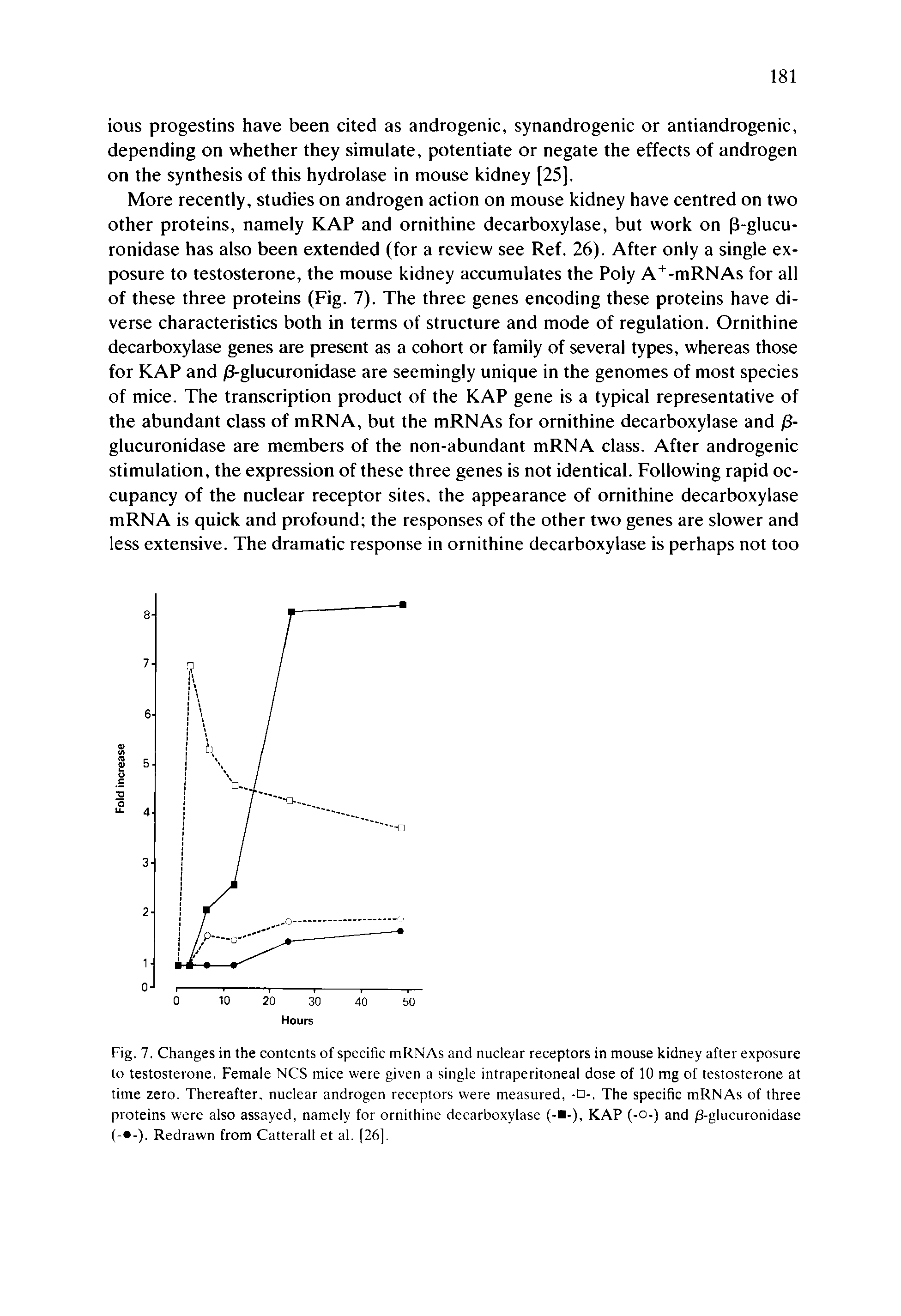 Fig. 7. Changes in the contents of specific mRNAs and nuclear receptors in mouse kidney after exposure to testosterone. Female NCS mice were given a single intraperitoneal dose of 10 mg of testosterone at time zero. Thereafter, nuclear androgen receptors were measured, The specific mRNAs of three proteins were also assayed, namely for ornithine decarboxylase (- -), KAP (-0-) and /3-glucuronidase (- -). Redrawn from Catterall et al. [26],...