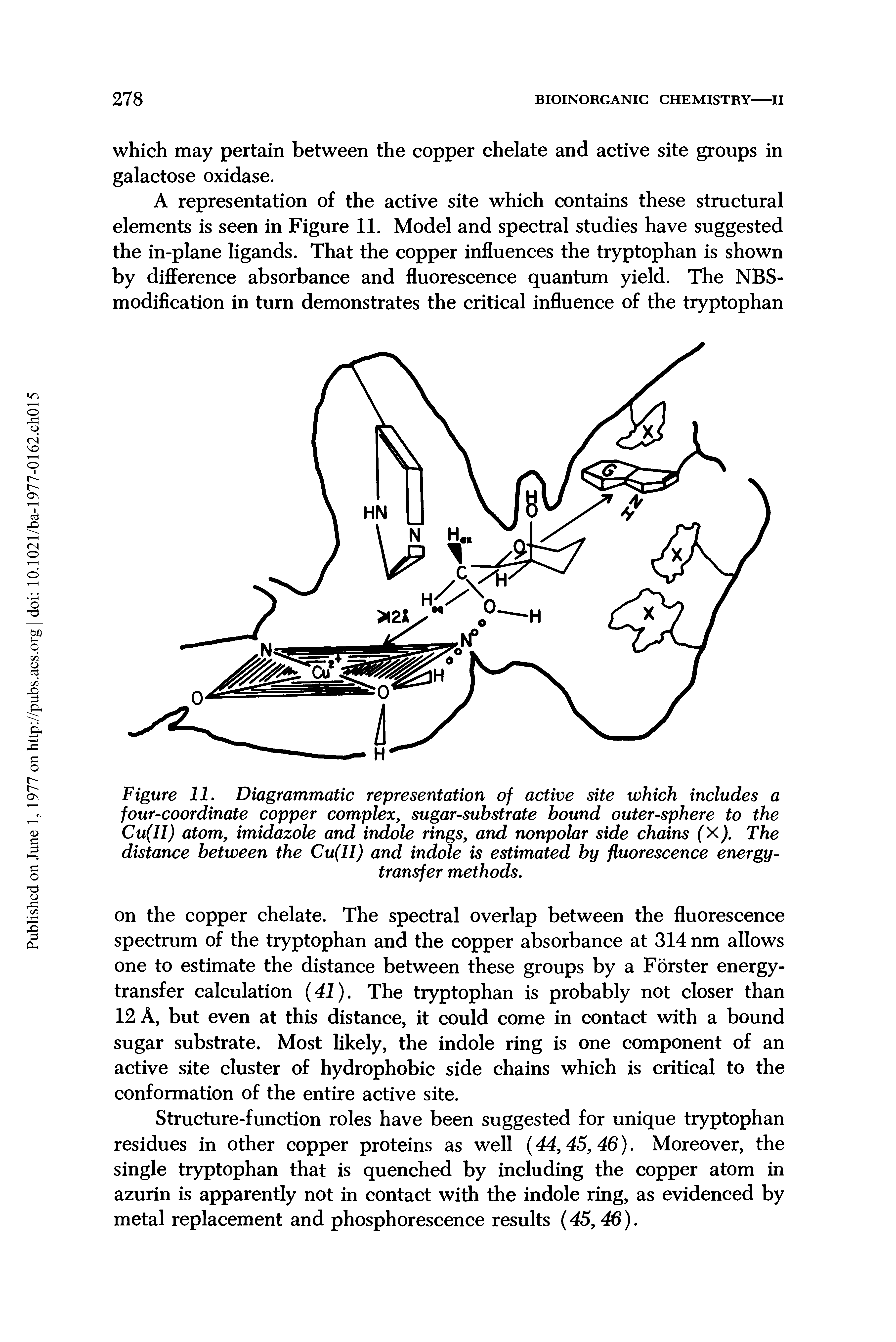 Figure 11. Diagrammatic representation of active site which includes a four-coordinate copper complex, sugar-substrate bound outer-sphere to the Cu(II) atom, imidazole and indole rings, and nonpolar side chains (X). The distance between the Cu(II) and indole is estimated by fluorescence energy-...