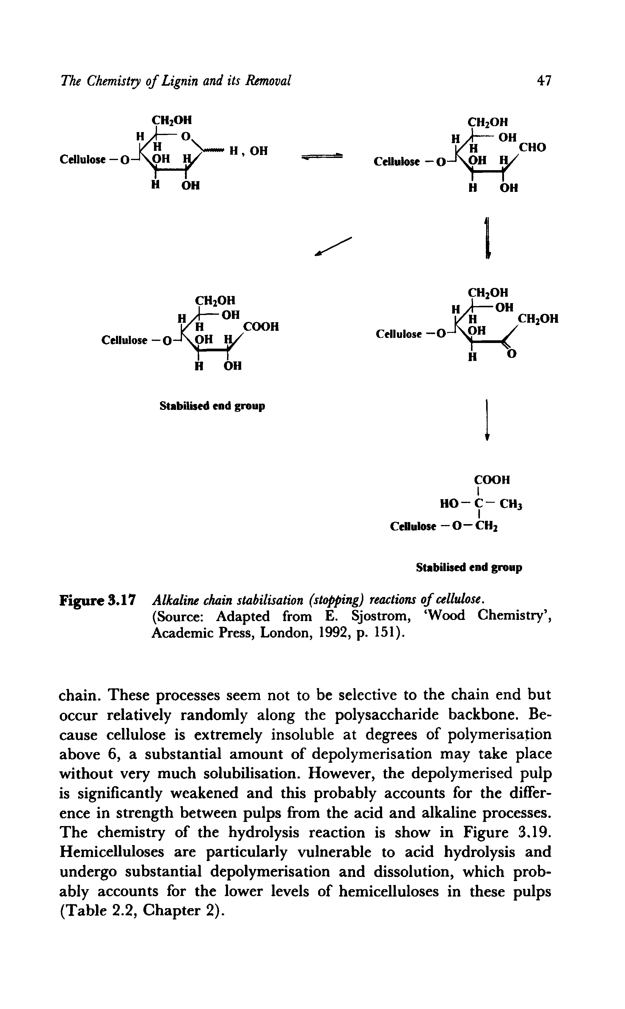 Figure 3.17 Alkaline chain stabilisation (stopping) reactions of cellulose.