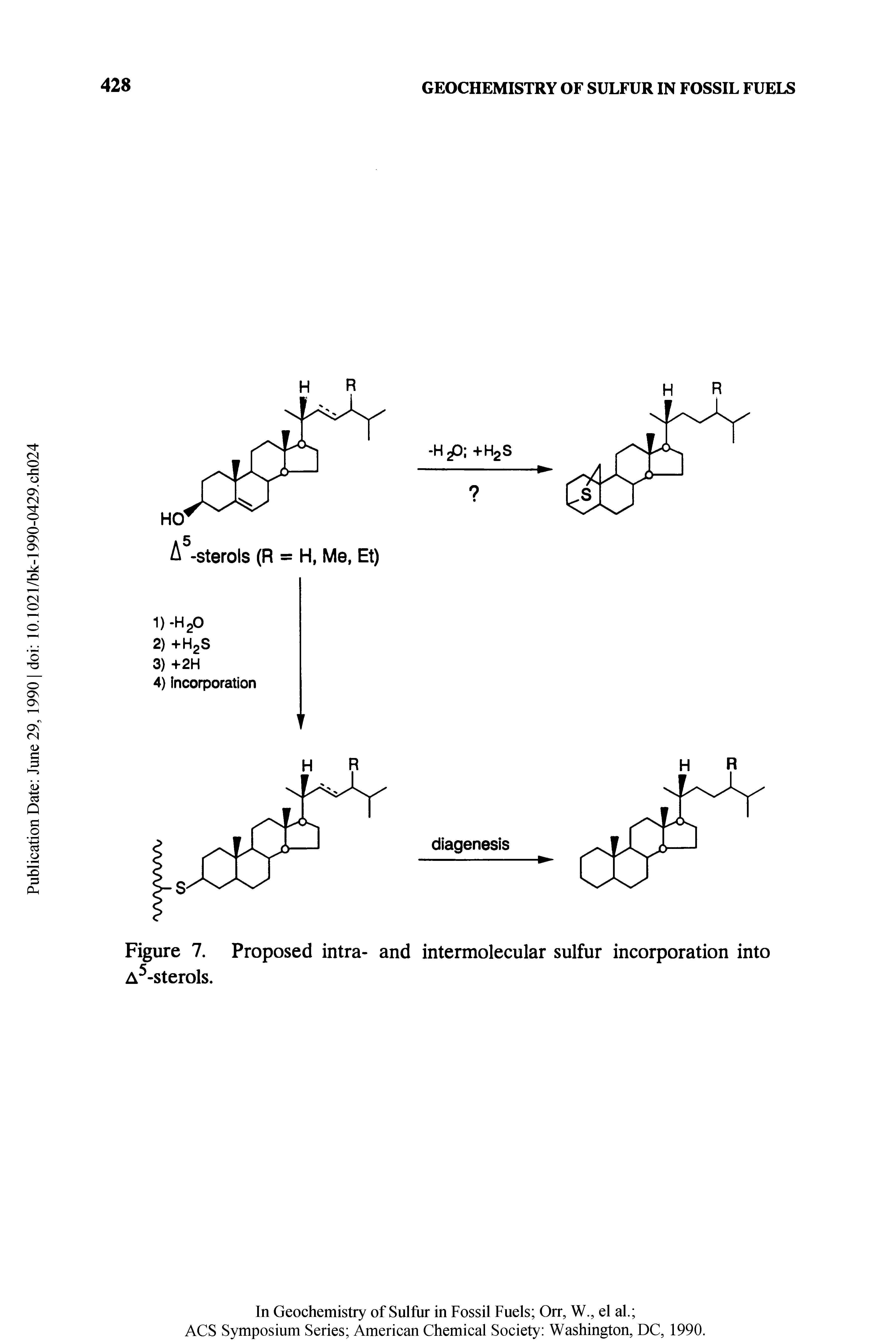 Figure 7. Proposed intra- and intermolecular sulfur incorporation into A5-sterols.
