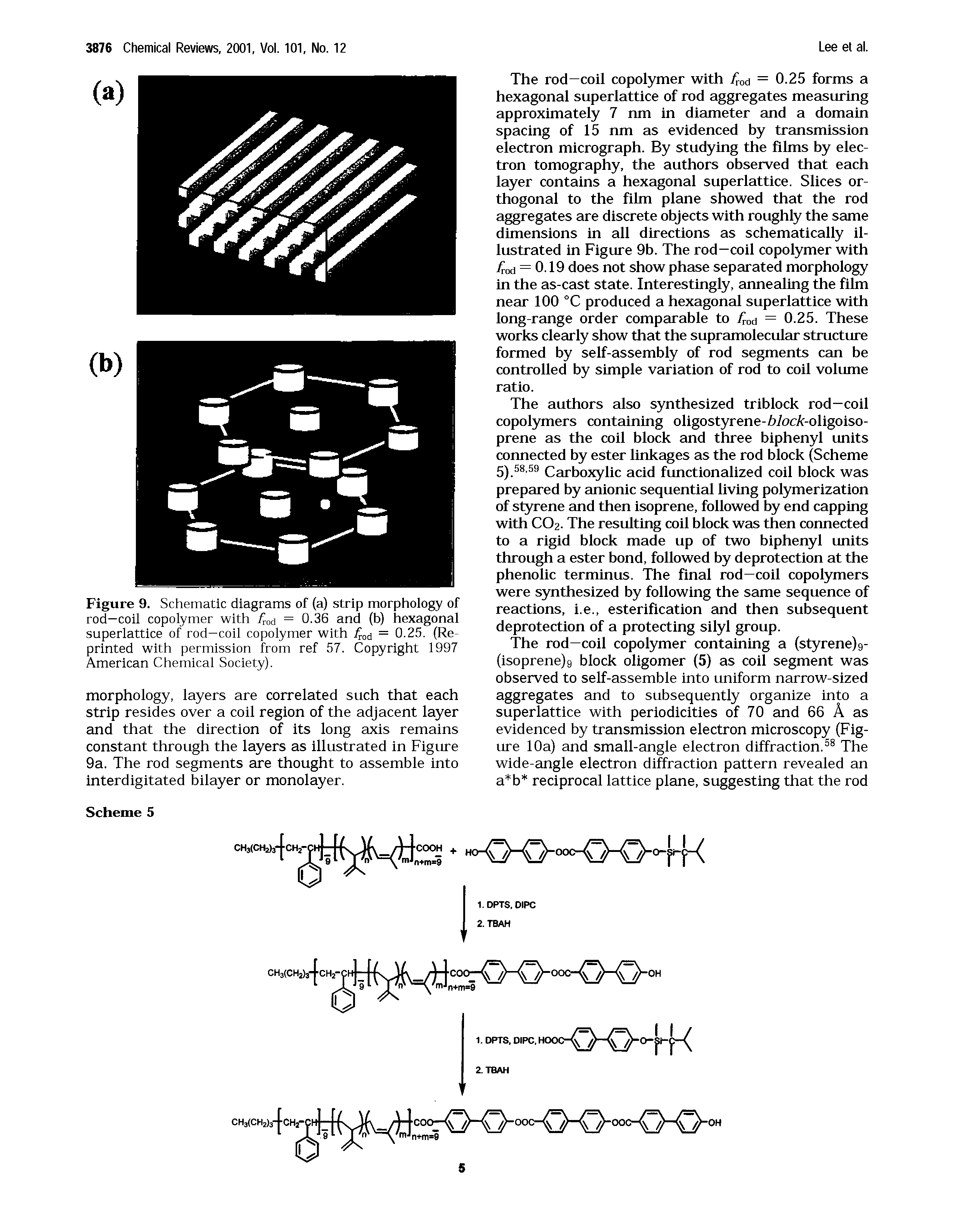 Figure 9. Schematic diagrams of (a) strip morphology of rod—coil copolymer with Trod = 0.36 and (b) hexagonal superlattice of rod—coil copolymer with fmlj = 0.25. (Reprinted with permission from ref 57. Copyright 1997 American Chemical Society).
