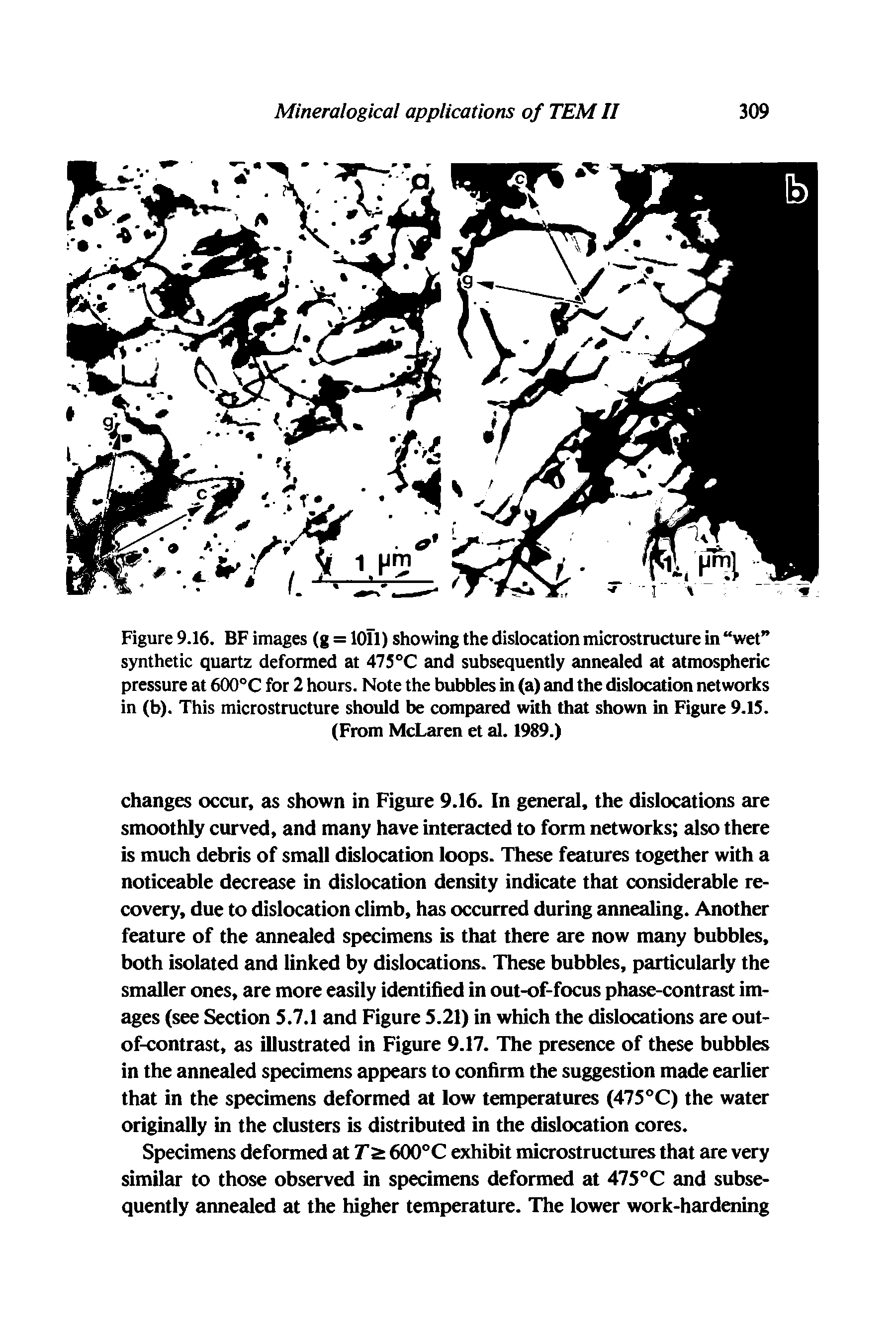 Figure 9.16. BF images (g = lOU) showing the dislocation microstructure in wet synthetic quartz deformed at 475°C and subsequently annealed at atmospheric pressure at 600°C for 2 hours. Note the bubbles in (a) and the dislocation networks in (b). This microstructure should be compared with that shown in Figure 9.IS.