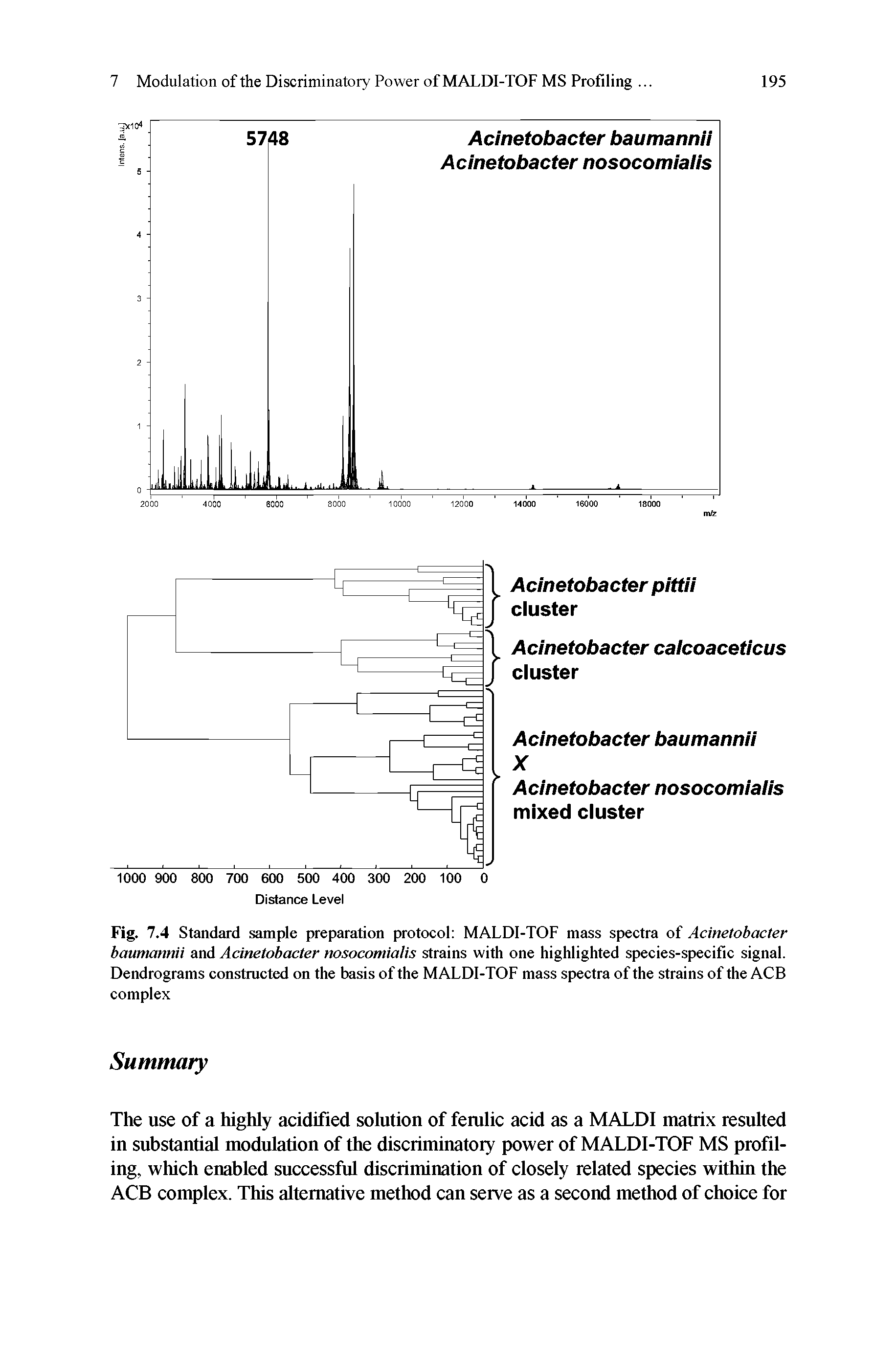 Fig. 7.4 Standard sample preparation protocol MALDI-TOF mass spectra of Acinetobacter baumannii and Acinetobacter nosocomiaiis strains with one highlighted species-specific signal. Dendrograms constructed on the basis of the MALDI-TOF mass spectra of the strains of the ACB complex...