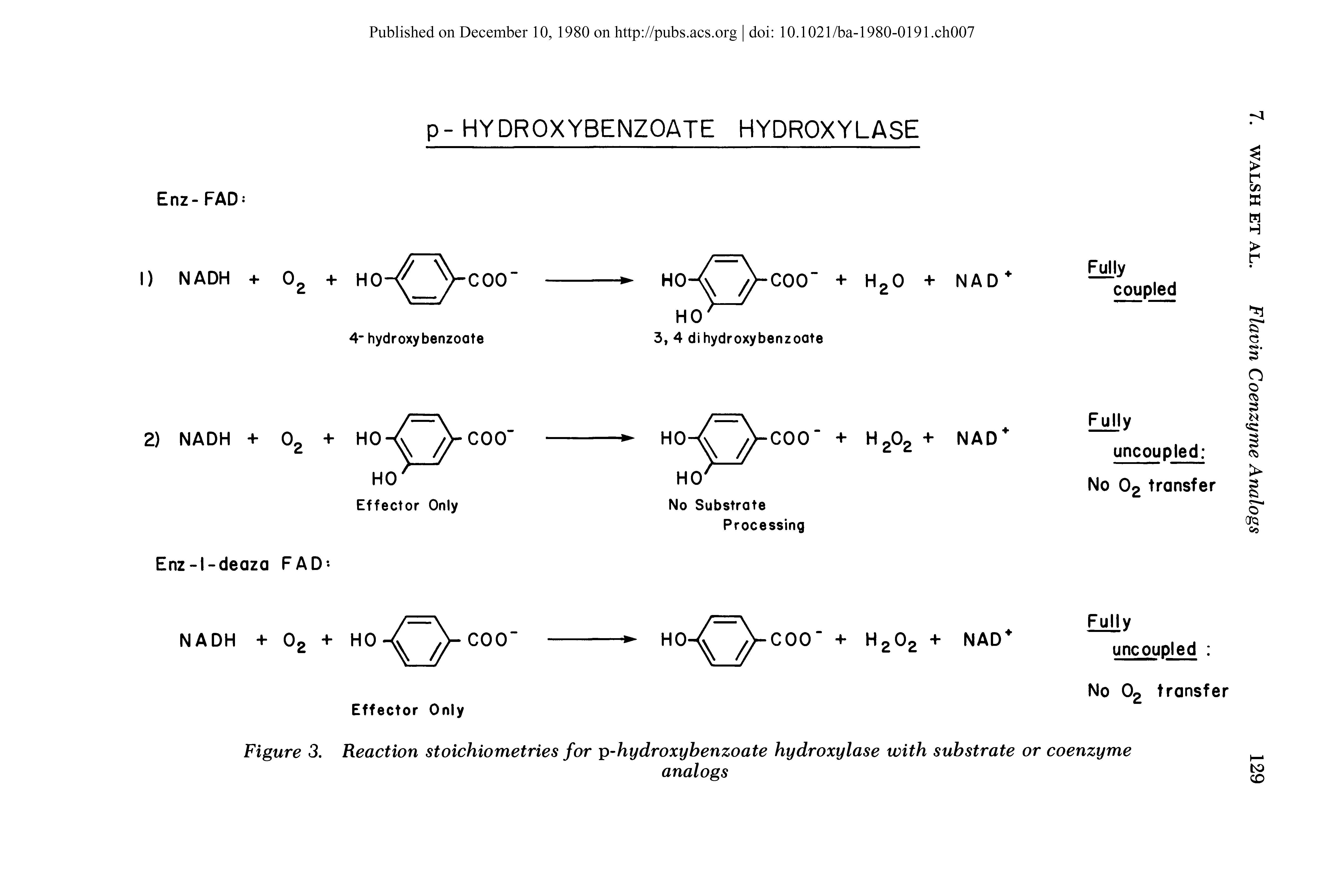 Figure 3. Reaction stoichiometries for p-hydroxybenzoate hydroxylase with substrate or coenzyme...