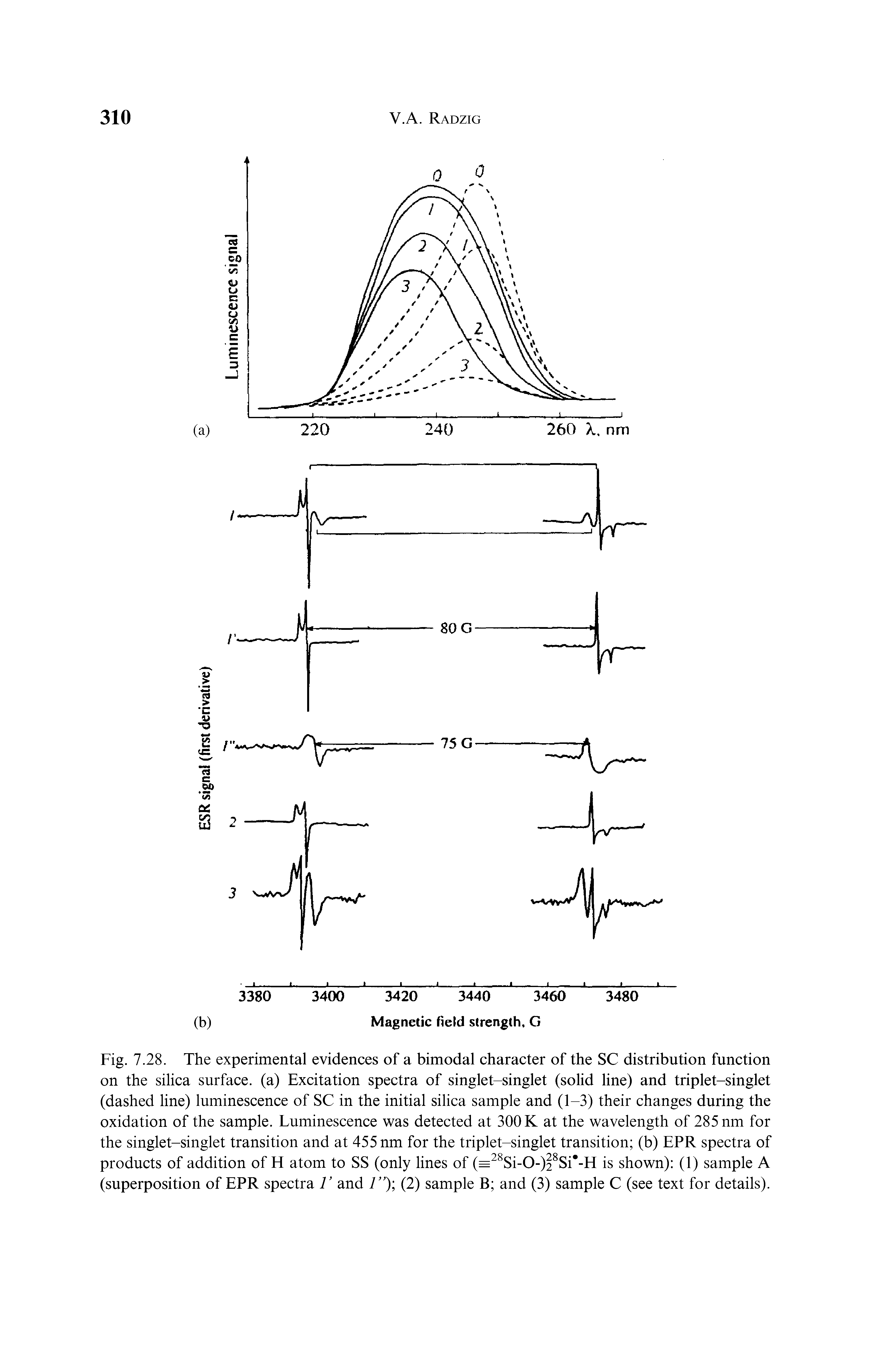 Fig. 7.28. The experimental evidences of a bimodal character of the SC distribution function on the silica surface, (a) Excitation spectra of singlet-singlet (solid line) and triplet-singlet (dashed line) luminescence of SC in the initial silica sample and (1-3) their changes during the oxidation of the sample. Luminescence was detected at 300 K at the wavelength of 285 nm for the singlet-singlet transition and at 455 nm for the triplet-singlet transition (b) EPR spectra of products of addition of H atom to SS (only lines of (=28Si-0-)28Si -H is shown) (1) sample A (superposition of EPR spectra V and 1 ) (2) sample B and (3) sample C (see text for details).