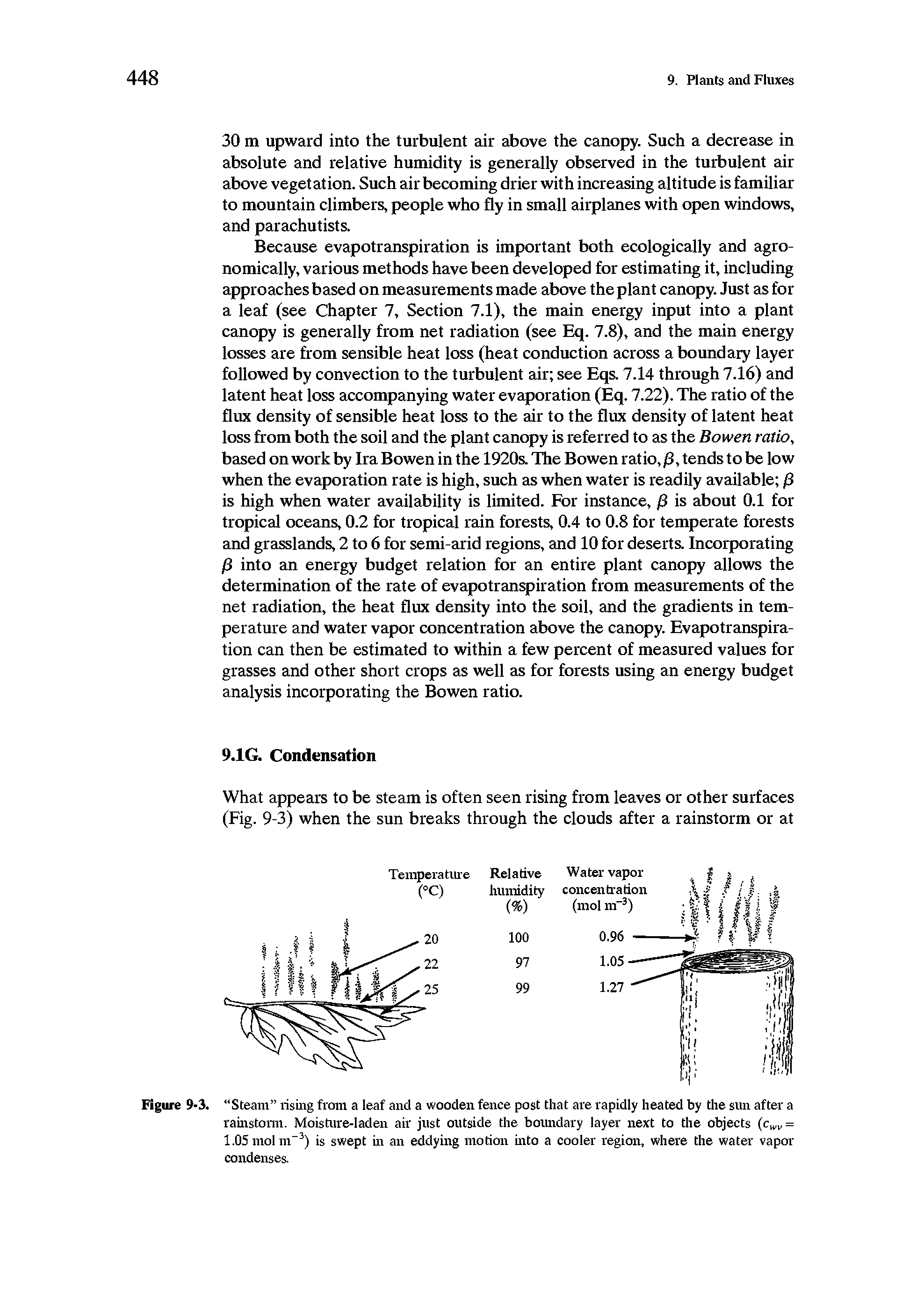 Figure 9-3. Steam rising from a leaf and a wooden fence post that are rapidly heated by the sun after a rainstorm. Moisture-laden air just outside the boundary layer next to the objects (cw = 1.05 mol m-3) is swept in an eddying motion into a cooler region, where the water vapor condenses.