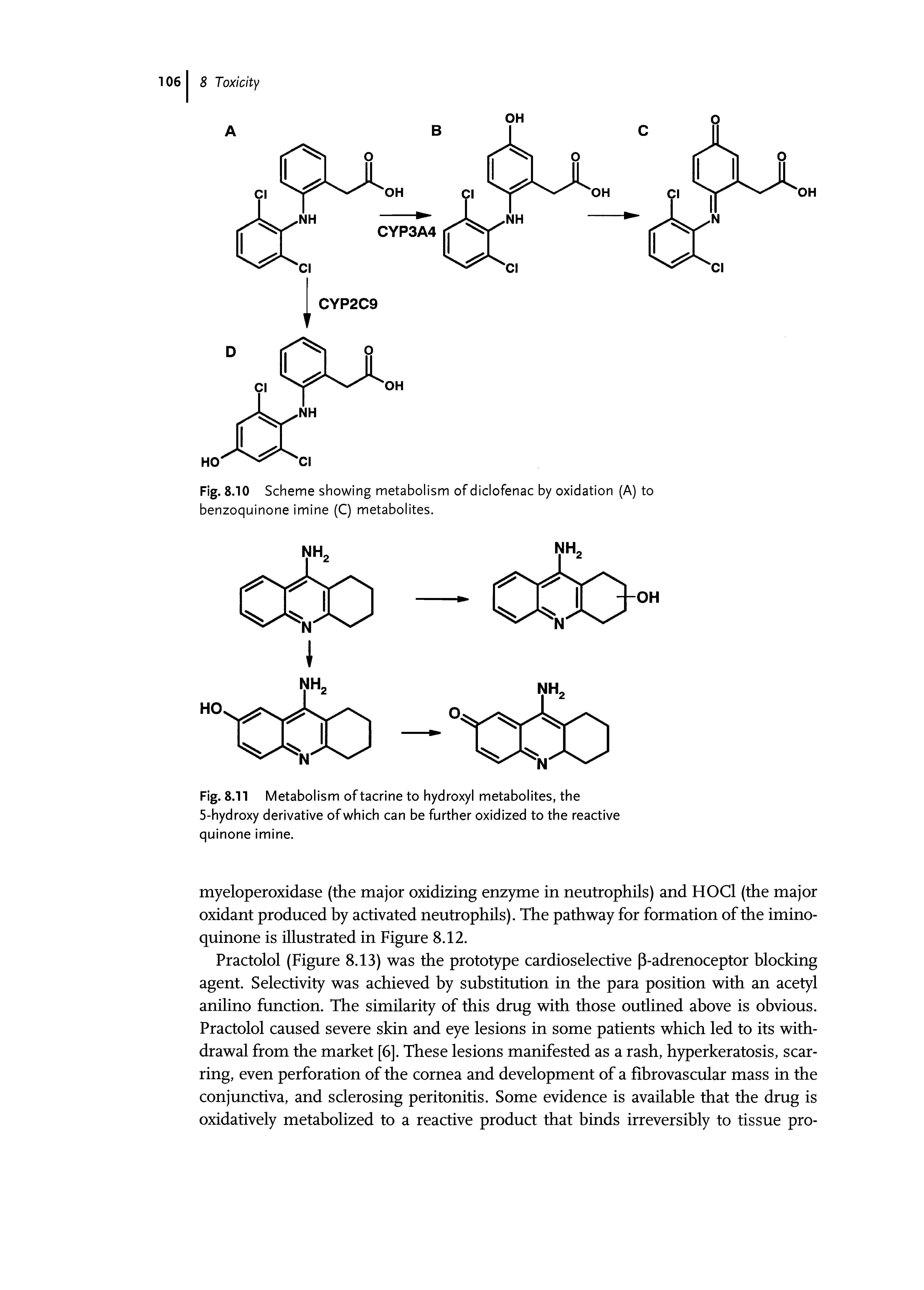 Fig. 8.11 Metabolism of tacrine to hydroxyl metabolites, the 5-hydroxy derivative of which can be further oxidized to the reactive quinone imine.