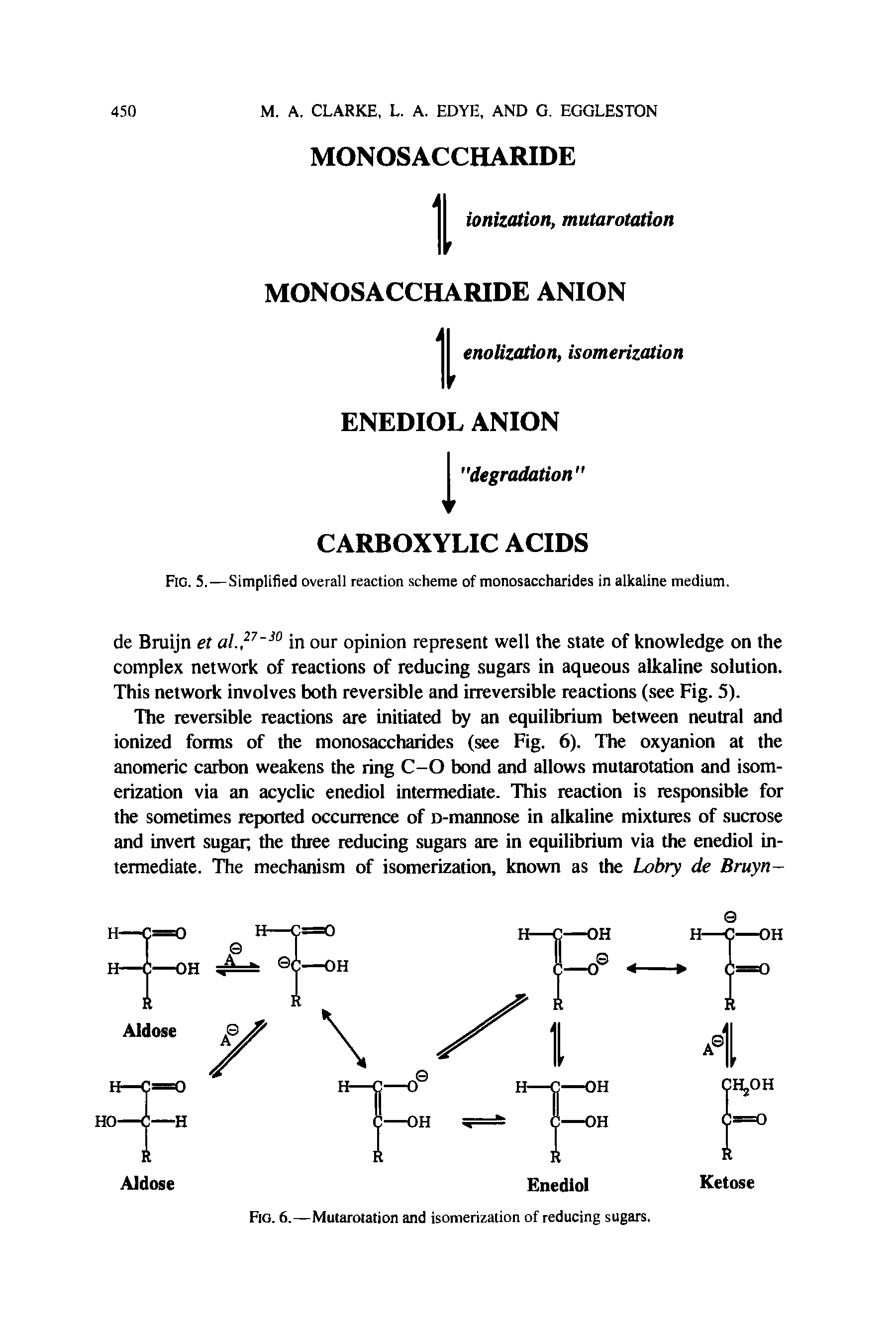 Fig. 5.—Simplified overall reaction scheme of monosaccharides in alkaline medium.