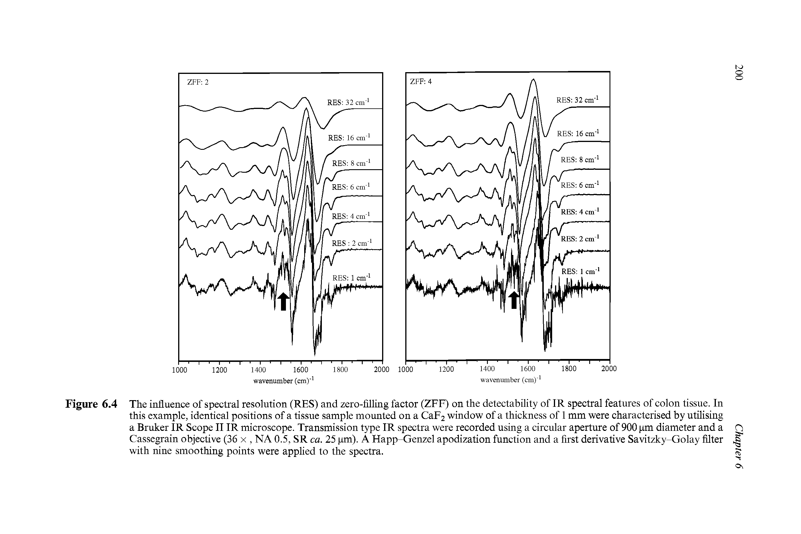 Figure 6.4 The influence of spectral resolution (RES) and zero-filling factor (ZFF) on the detectability of IR spectral features of colon tissue. In this example, identical positions of a tissue sample mounted on a CaF2 window of a thickness of 1 mm were characterised by utilising a Bruker IR Scope II IR microscope. Transmission type IR spectra were recorded using a circular aperture of 900 pm diameter and a Cassegrain objective (36 x, NA 0.5, SR ca. 25 pm). A Happ-Genzel apodization function and a first derivative Savitzky-Golay filter with nine smoothing points were applied to the spectra.