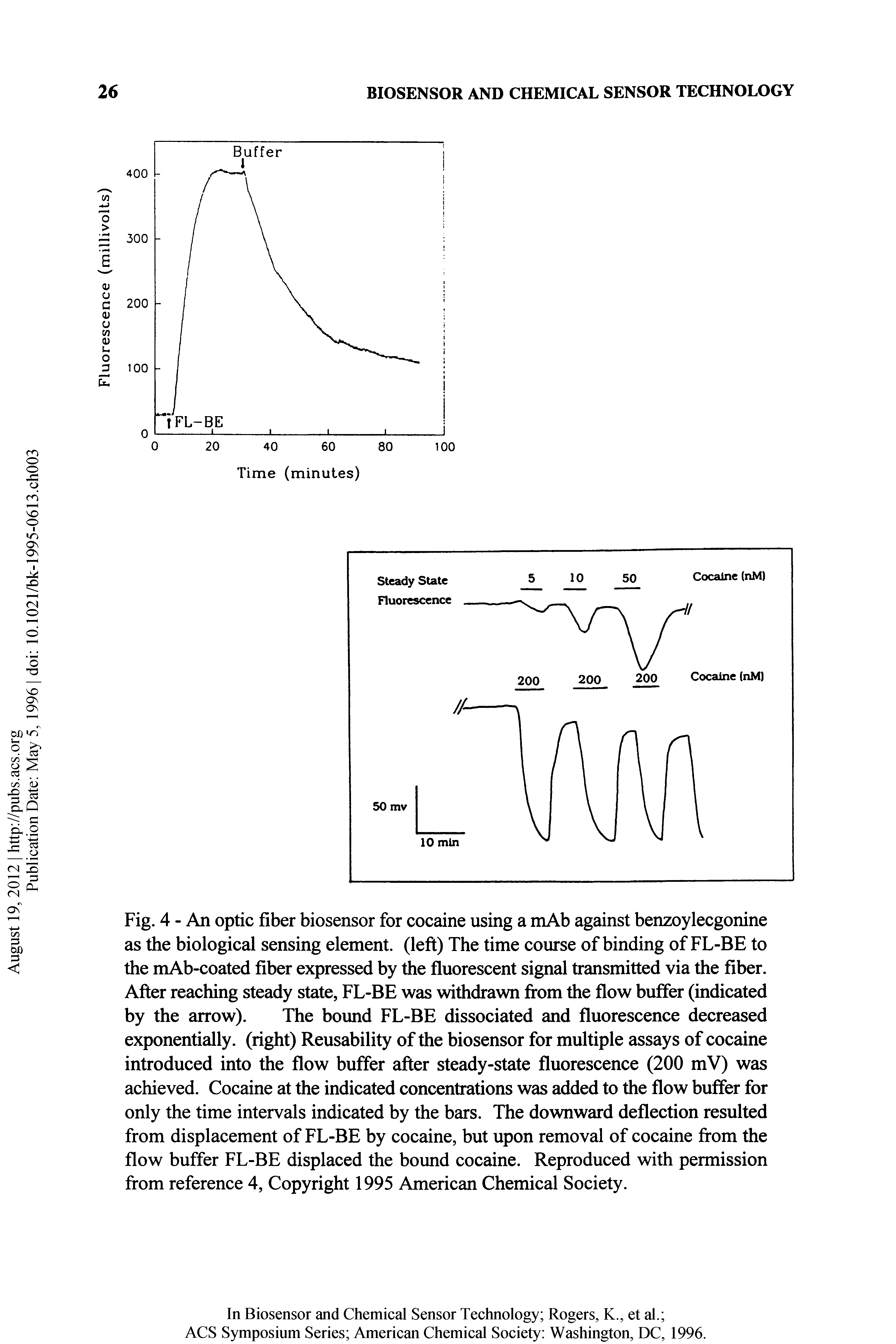Fig. 4 - An optic fiber biosensor for cocaine using a mAb against benzoylecgonine as the biological sensing element, (left) The time course of binding of FL-BE to the mAb-coated fiber expressed by the fluorescent signal transmitted via the fiber. After reaching steady state, FL-BE was withdrawn from the flow buffer (indicated by the arrow). The bound FL-BE dissociated and fluorescence decreased exponentially, (right) Reusability of the biosensor for multiple assays of cocaine introduced into the flow buffer after steady-state fluorescence (200 mV) was achieved. Cocaine at the indicated concentrations was added to the flow buffer for only the time intervals indicated by the bars. The downward deflection resulted from displacement of FL-BE by cocaine, but upon removal of cocaine from the flow buffer FL-BE displaced the bound cocaine. Reproduced with permission from reference 4, Copyright 1995 American Chemical Society.
