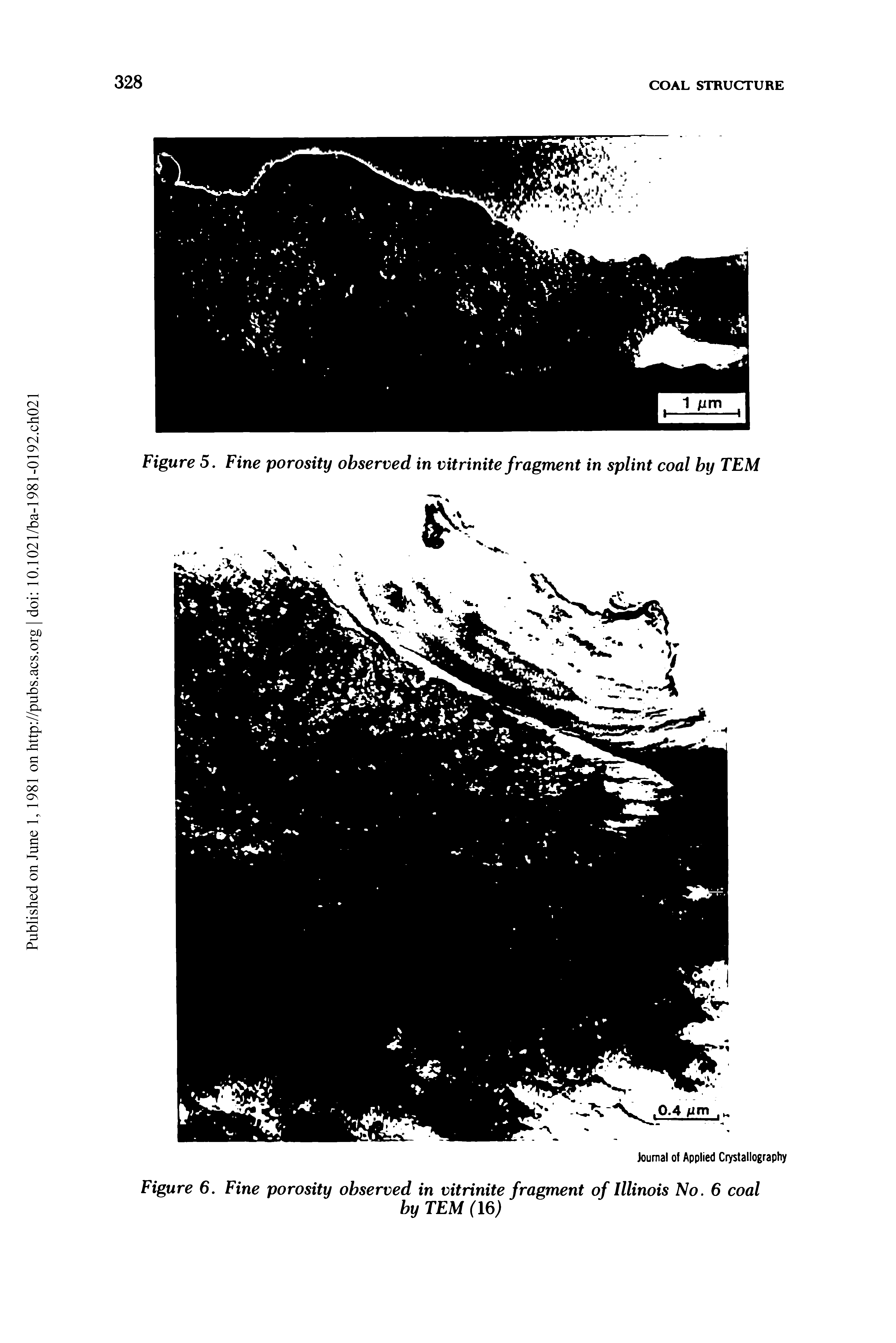 Figure 5. Fine porosity observed in vitrinite fragment in splint coal by TEM...