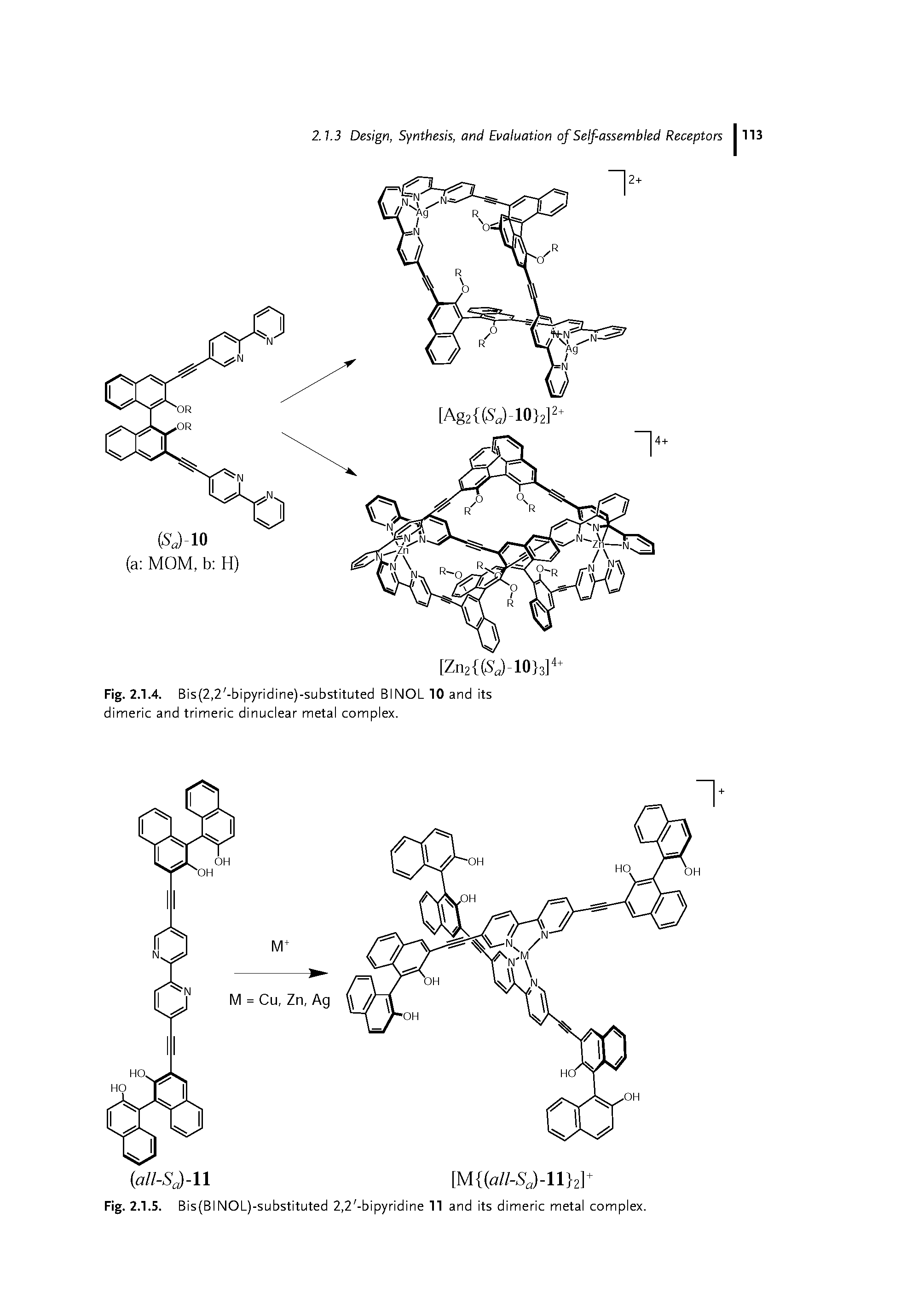 Fig. 2.1.4. Bis(2,2 -bipyridine)-substituted BINOL 10 and its dimeric and trimeric dinuclear metal complex.