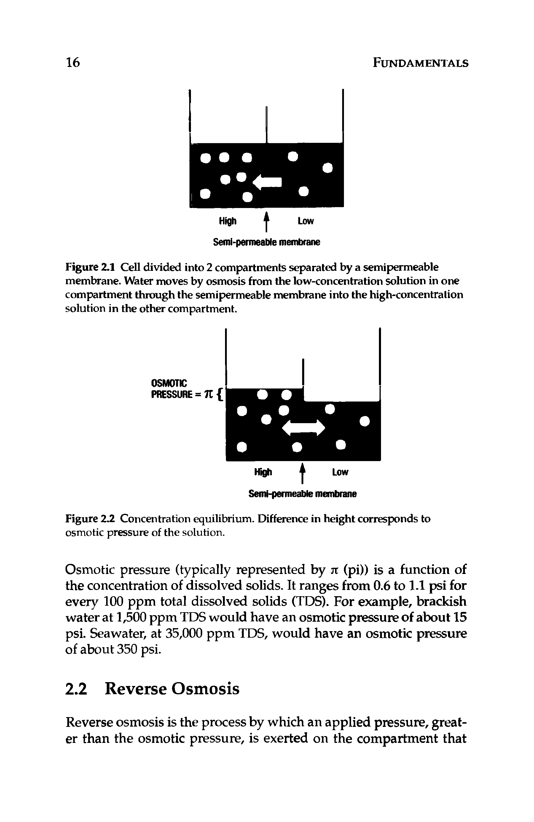 Figure 2.2 Concentration equilibrium. Difference in height corresponds to osmotic pressure of the solution.