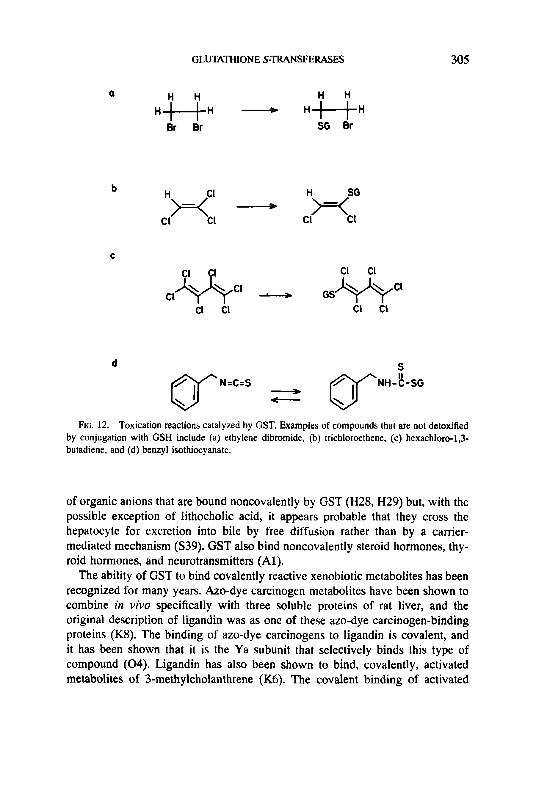 Fig. 12. Toxication reactions catalyzed by GST. Examples of compounds that are not detoxified by conjugation with GSH include (a) ethylene dibromide, (b) trichloroethene, (c) hexachloro-1,3-butadiene, and (d) benzyl isothiocyanate.