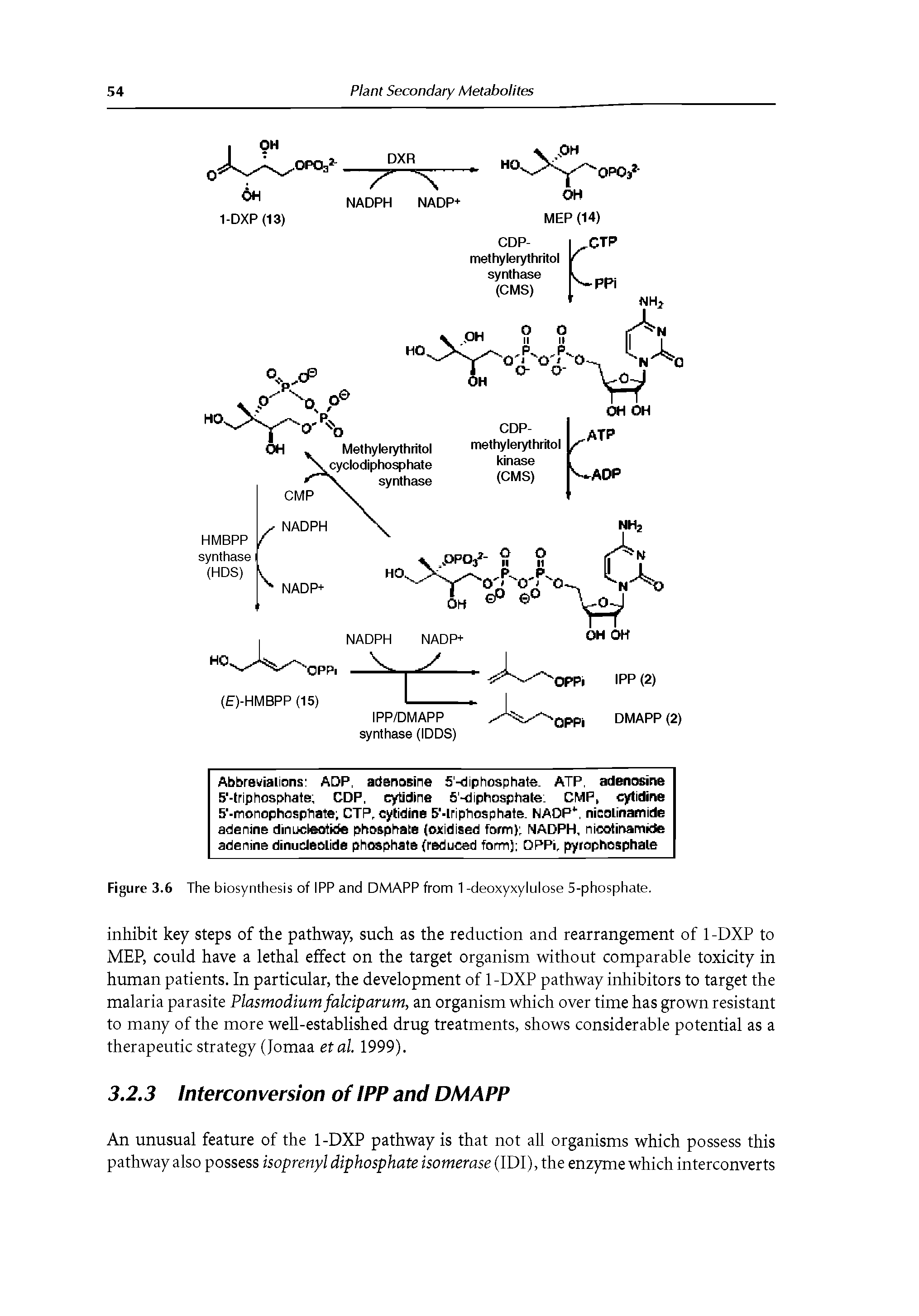 Figure 3.6 The biosynthesis of IPP and DMAPP from 1 -deoxyxylulose 5-phosphate.