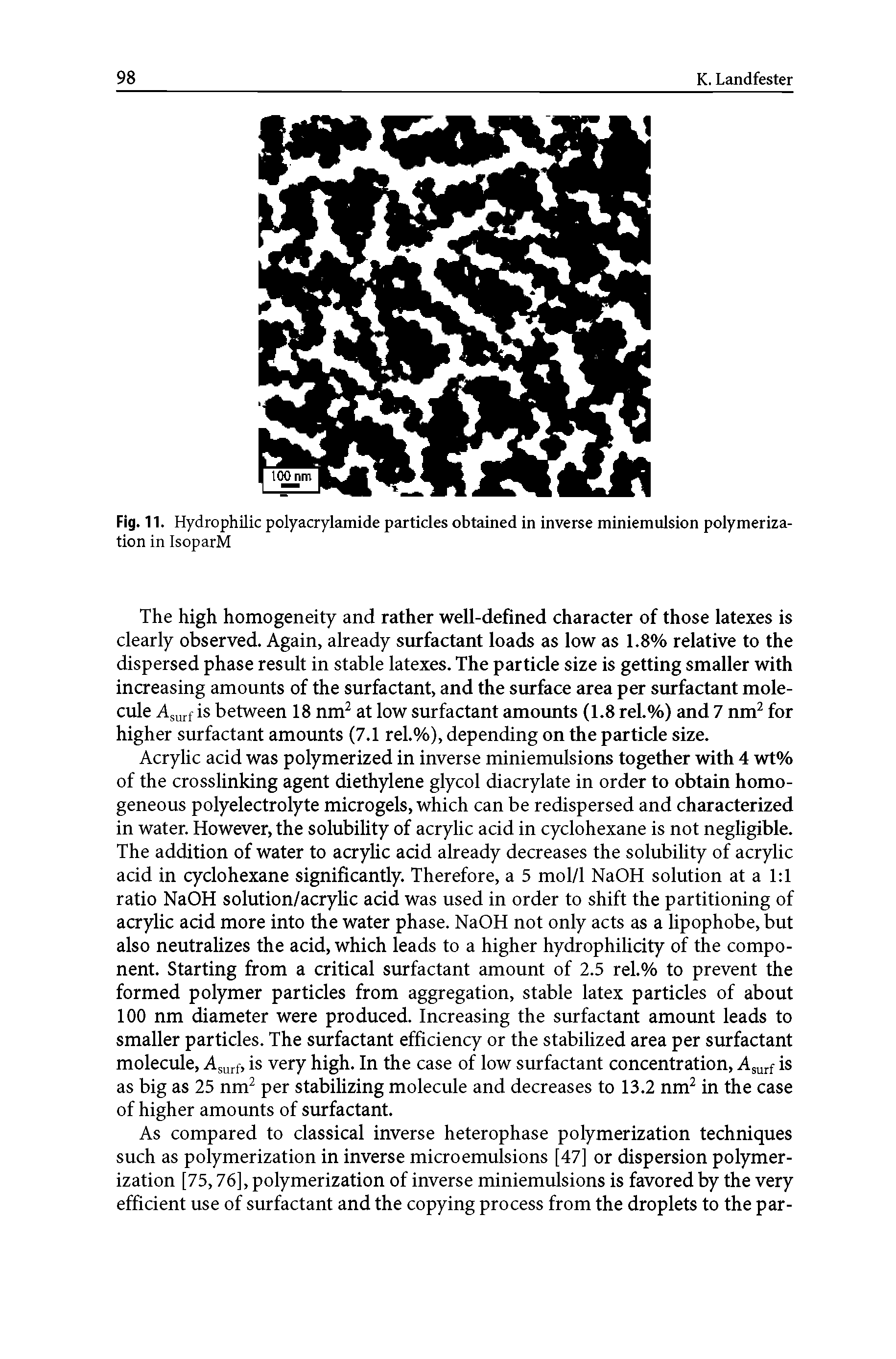 Fig. 11. Hydrophilic polyacrylamide particles obtained in inverse miniemulsion polymerization in IsoparM...