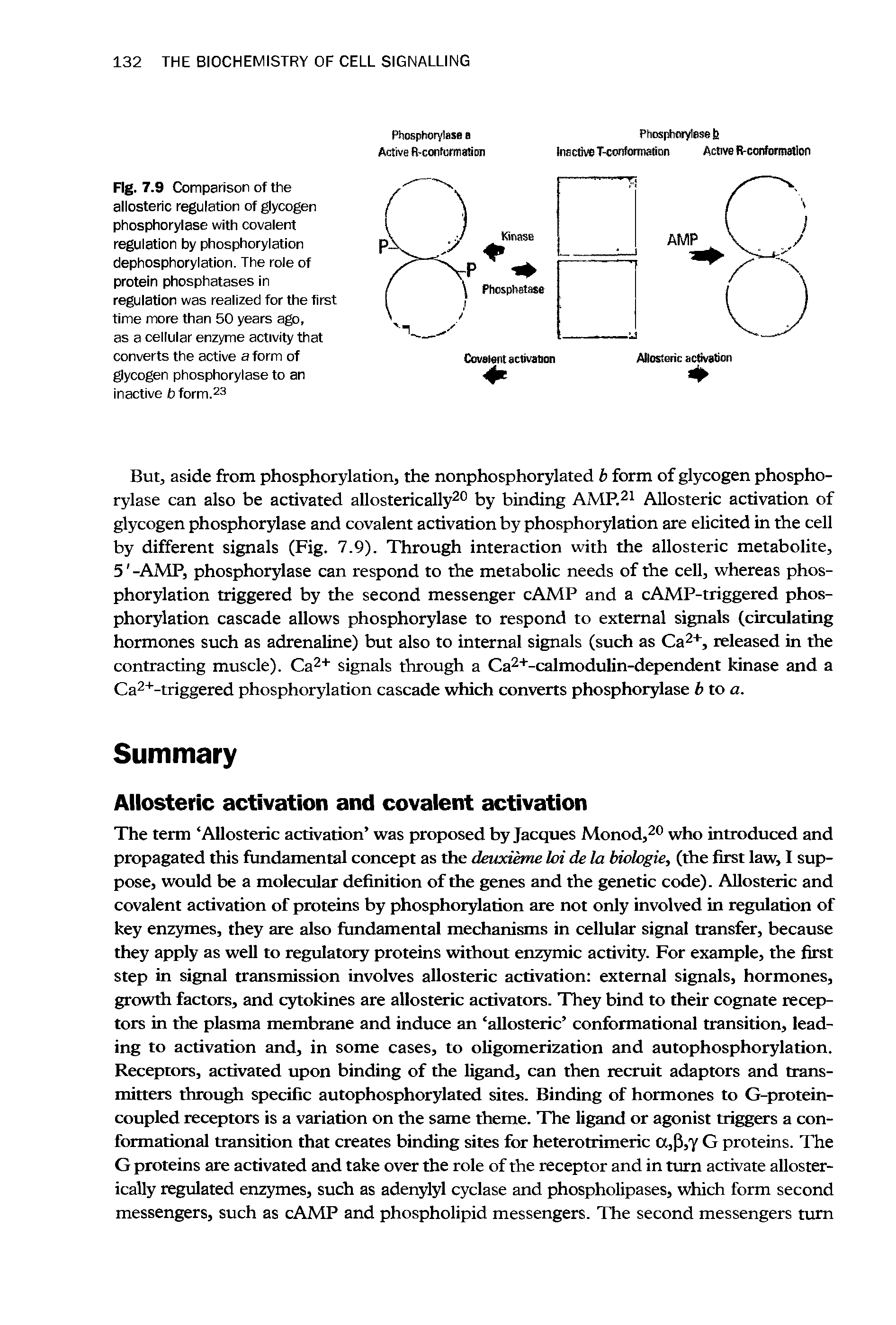 Fig. 7.9 Comparison of the allosteric regulation of gycogen phosphorylase with covalent regulation by phosphorylation dephosphorylation. The role of protein phosphatases in regulation was realized for the first time more than 50 years ago, as a cellular enzyme activity that converts the active a form of glycogen phosphorylase to an inactive b form.23...