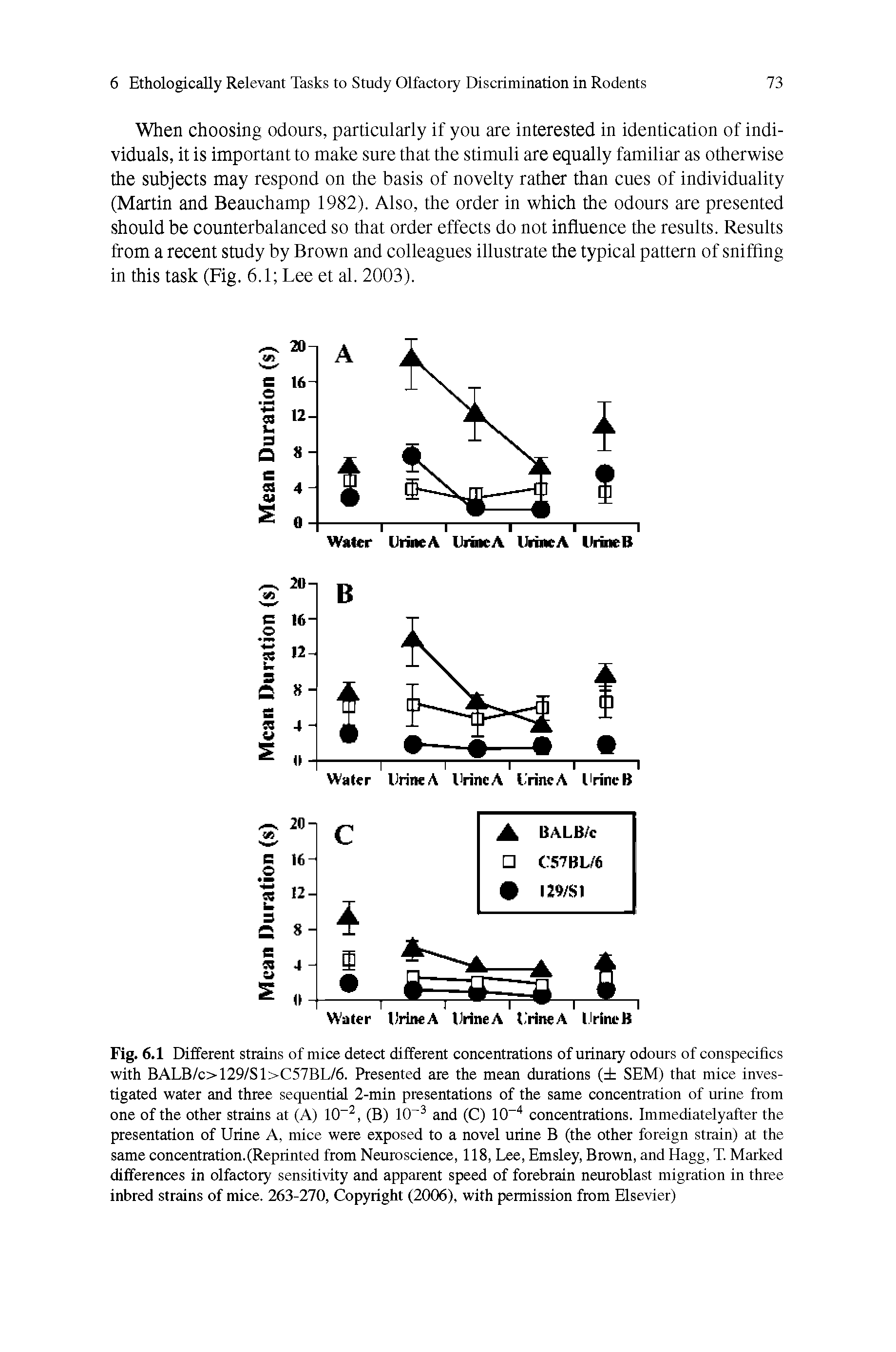 Fig. 6.1 Different strains of mice detect different concentrations of urinary odours of conspecifics with BALB/c>129/Sl>C57BL/6. Presented are the mean durations ( SEM) that mice investigated water and three sequential 2-min presentations of the same concentration of urine from one of the other strains at (A) 10 2, (B) 10 3 and (C) 10-4 concentrations. Immediatelyafter the presentation of Urine A, mice were exposed to a novel urine B (the other foreign strain) at the same concentration.(Reprinted from Neuroscience, 118, Lee, Emsley, Brown, and Hagg, T. Marked differences in olfactory sensitivity and apparent speed of forebrain neuroblast migration in three inbred strains of mice. 263-270, Copyright (2006), with permission from Elsevier)...