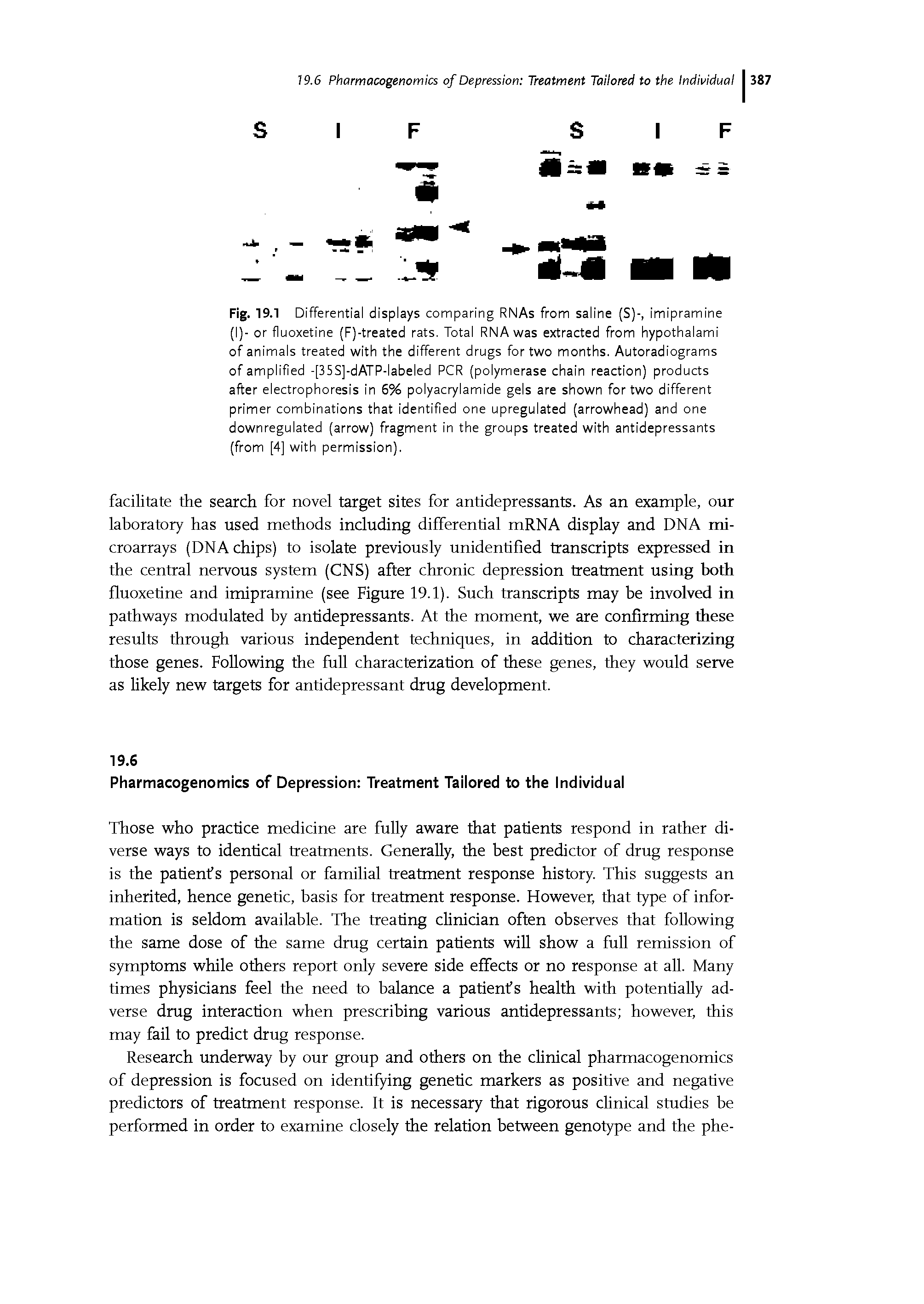 Fig. 19.1 Differential displays comparing RNAs from saline (S)-, imipramine (I)- or fluoxetine (F)-treated rats. Total RNA was extracted from hypothalami of animals treated with the different drugs for two months. Autoradiograms of amplified -[35S]-dATP-labeled PCR (polymerase chain reaction) products after electrophoresis in 6% polyacrylamide gels are shown for two different primer combinations that identified one upregulated (arrowhead) and one downregulated (arrow) fragment in the groups treated with antidepressants (from [4] with permission).
