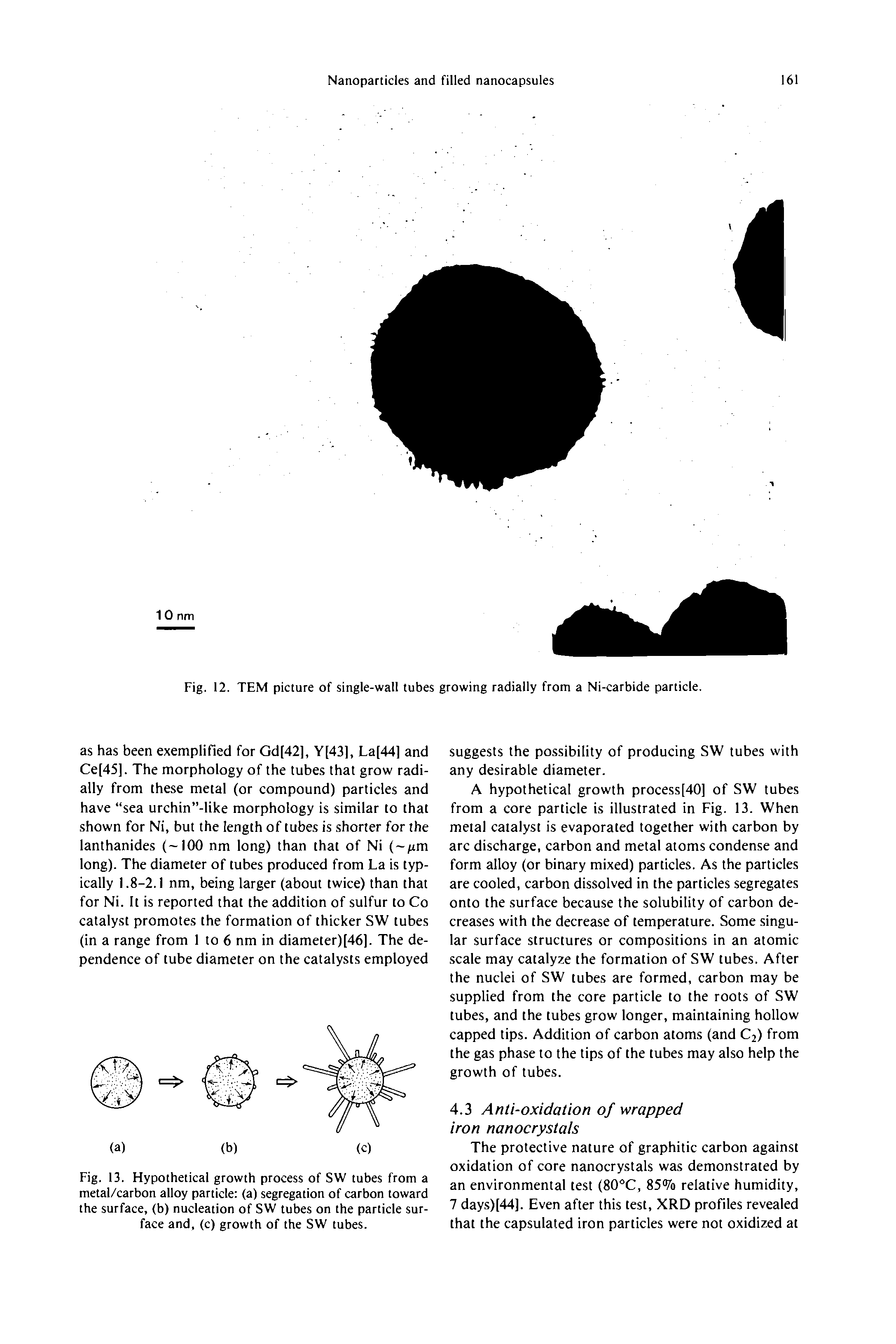 Fig. 13. Flypothetical growth process of SW tubes from a metal/carbon alloy particle (a) segregation of carbon toward the surface, (b) nucleation of SW tubes on the particle surface and, (c) growth of the SW tubes.