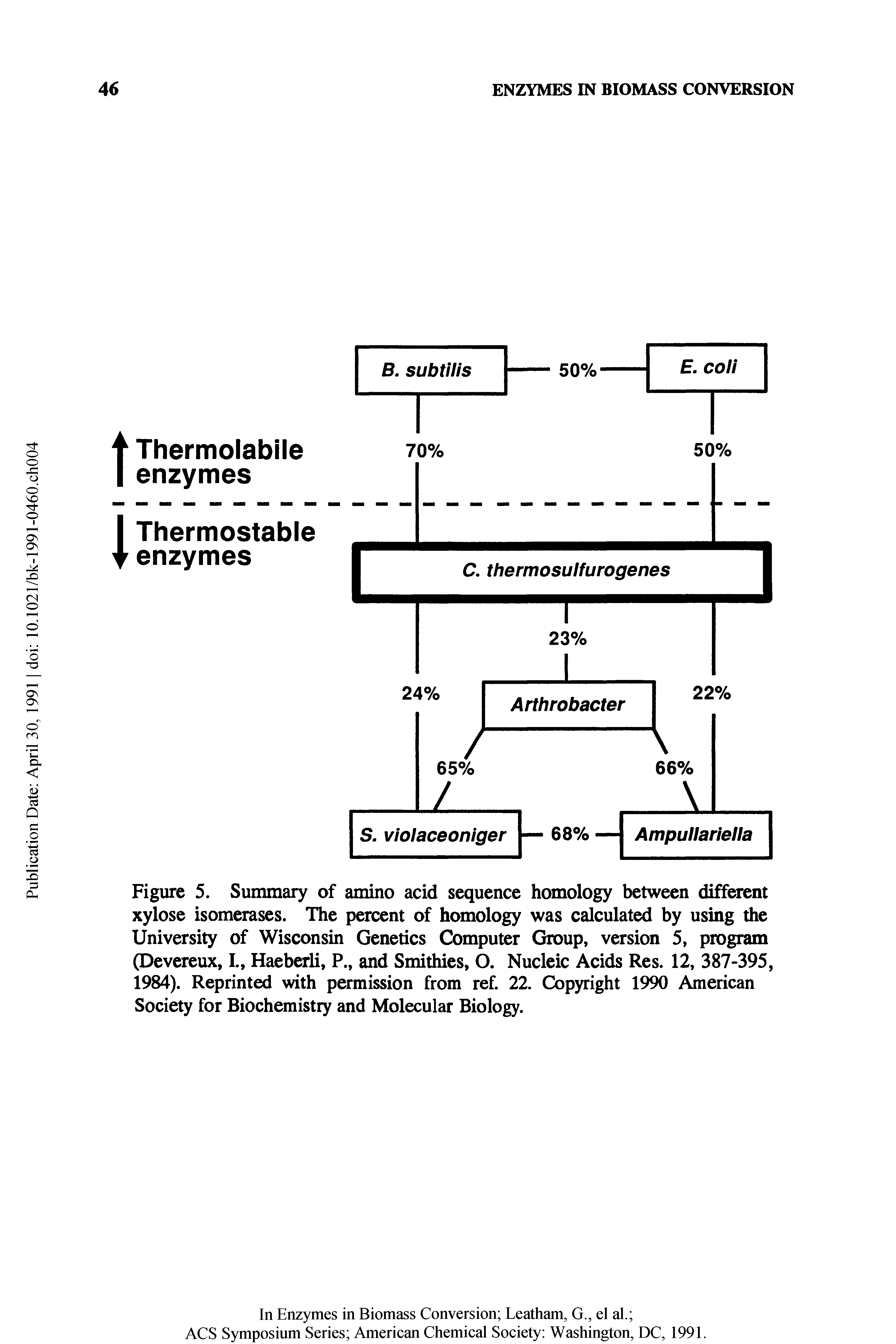 Figure 5. Summary of amino acid sequence homology between different xylose isomerases. The percent of homology was calculated by using the University of Wisconsin Genetics Computer Group, version 5, program (Devereux, L, Haeberli, P., and Smithies, O. Nucleic Acids Res. 12, 387-395, 1984). Reprinted with permission from ref. 22. Copyright 1990 American Society for Biochemistry and Molecular Biology.