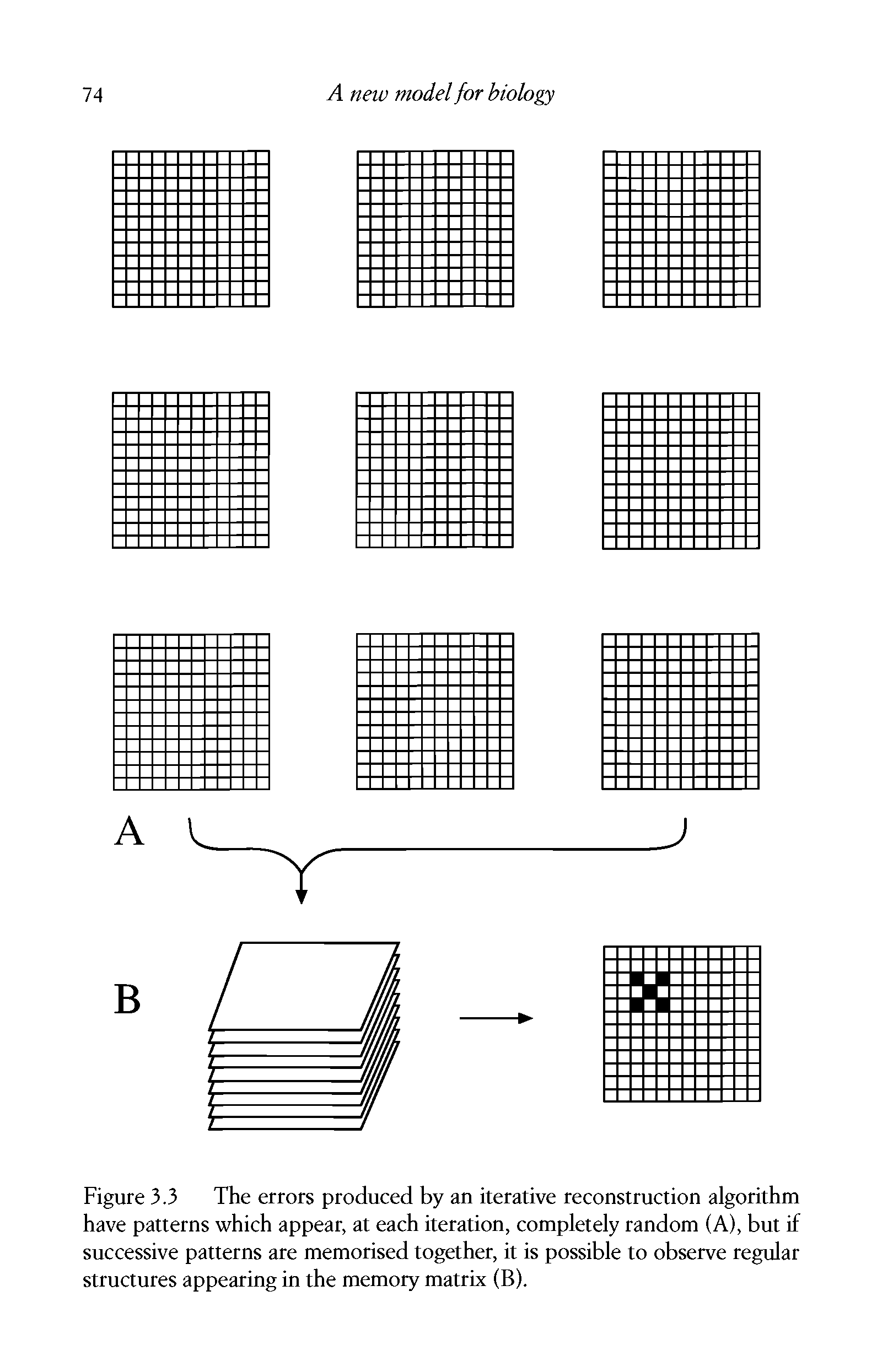 Figure 3.3 The errors produced by an iterative reconstruction algorithm have patterns which appear, at each iteration, completely random (A), but if successive patterns are memorised together, it is possible to observe regular structures appearing in the memory matrix (B).