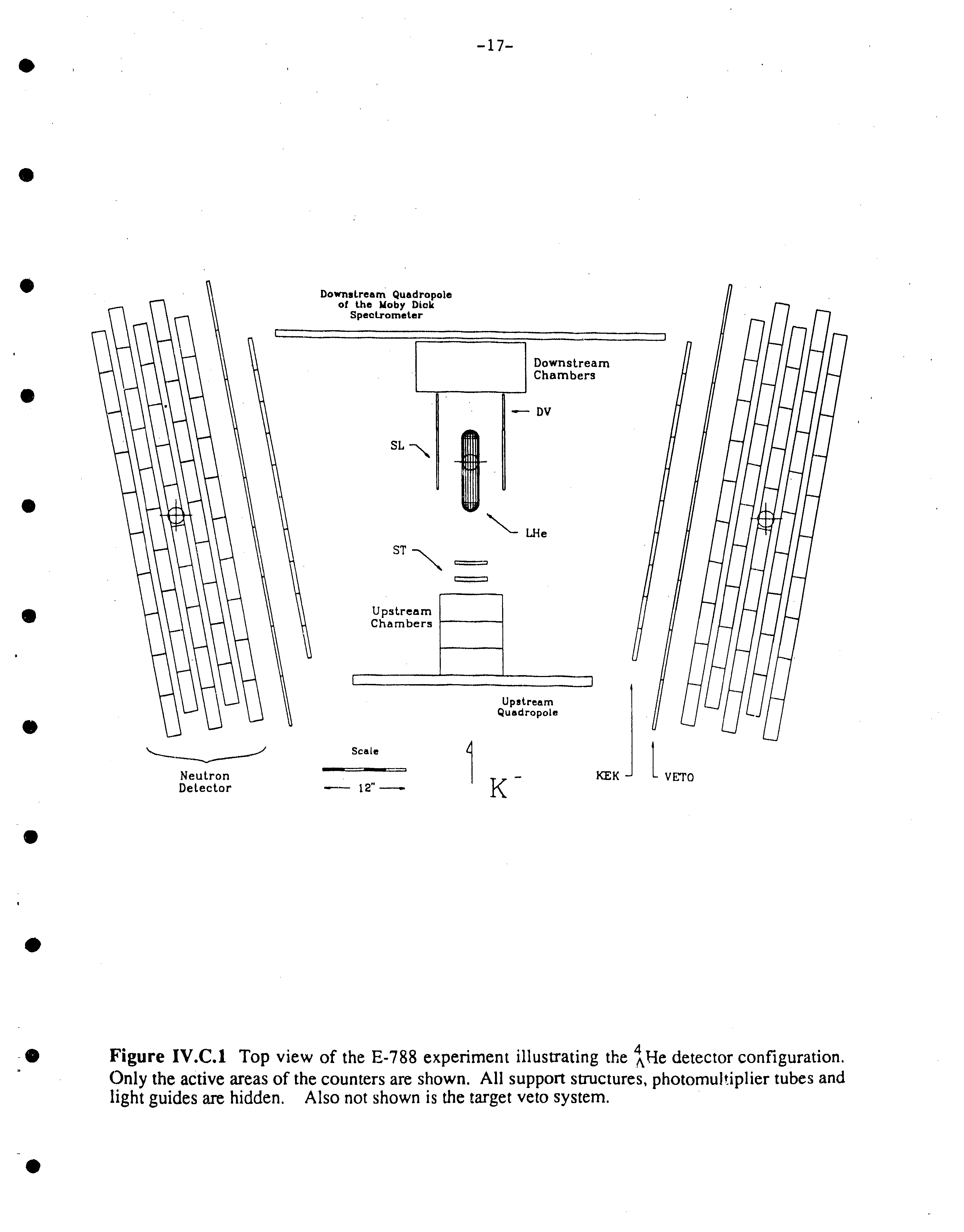 Figure IV.C.l Top view of the E-788 experiment illustrating the He detector configuration. Only the active areas of the counters are shown. All support structures, photomultiplier tubes and light guides are hidden. Also not shown is the target veto system.