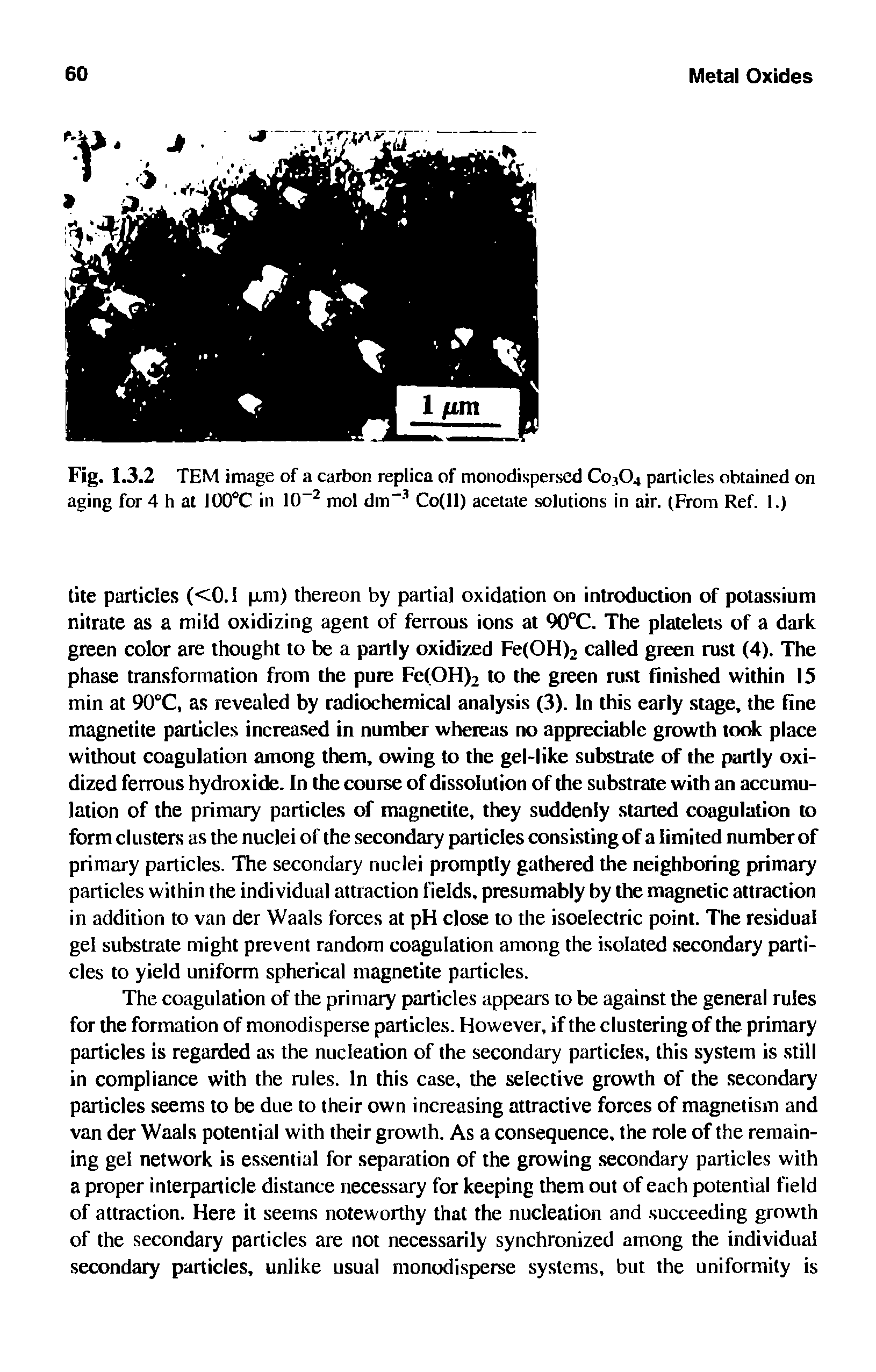 Fig. 1.3.2 TEM image of a carbon replica of monodispersed Co304 particles obtained on aging for 4 h at I00°C in 10-2 mol dm-3 Co(ll) acetate solutions in air. (From Ref. 1.)...