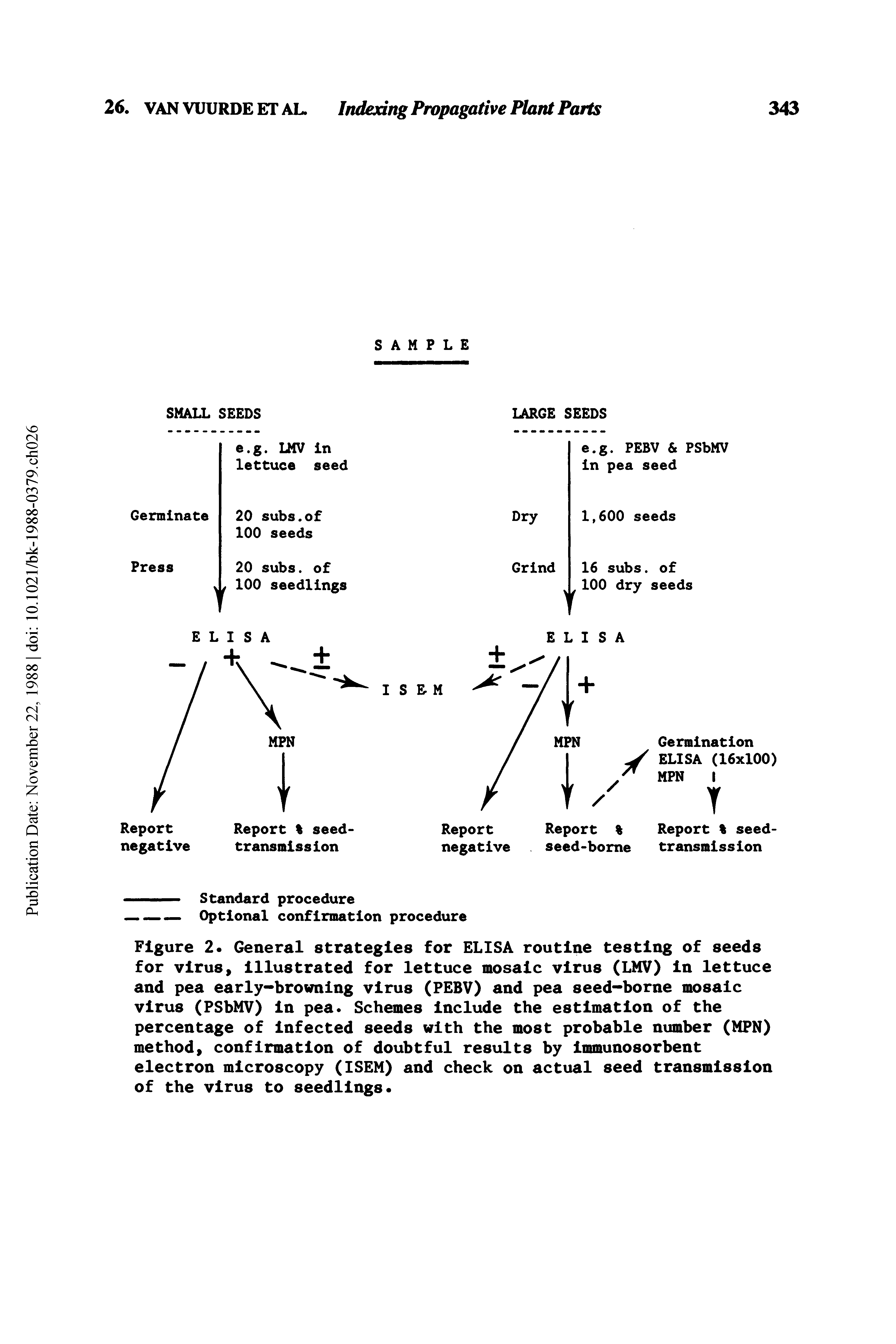 Figure 2 General strategies for ELISA routine testing of seeds for virus, illustrated for lettuce mosaic virus (LMV) in lettuce and pea early-browning virus (PEBV) and pea seed-borne mosaic virus (PSbMV) in pea. Schemes Include the estimation of the percentage of Infected seeds with the most probable number (MPN) method, confirmation of doubtful results by Immunosorbent electron microscopy (ISEM) and check on actual seed transmission of the virus to seedlings ...