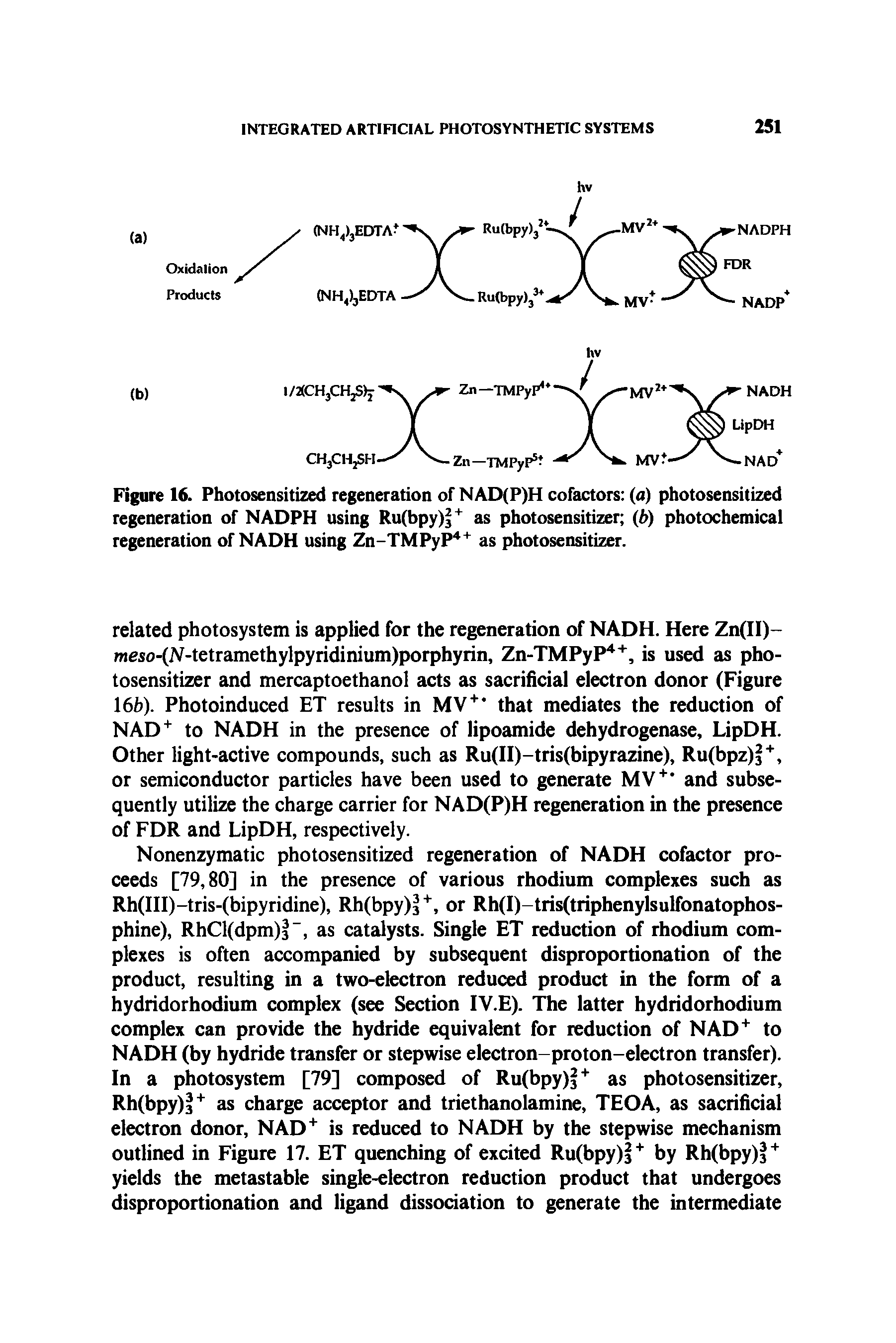 Figure 16. Photosensitized regeneration of NAD(P)H cofactors (a) photosensitized regeneration of NADPH using Ru(bpy) as photosensitizer (b) photochemical regeneration of NADH using Zn-TMPyP as photosensitizer.