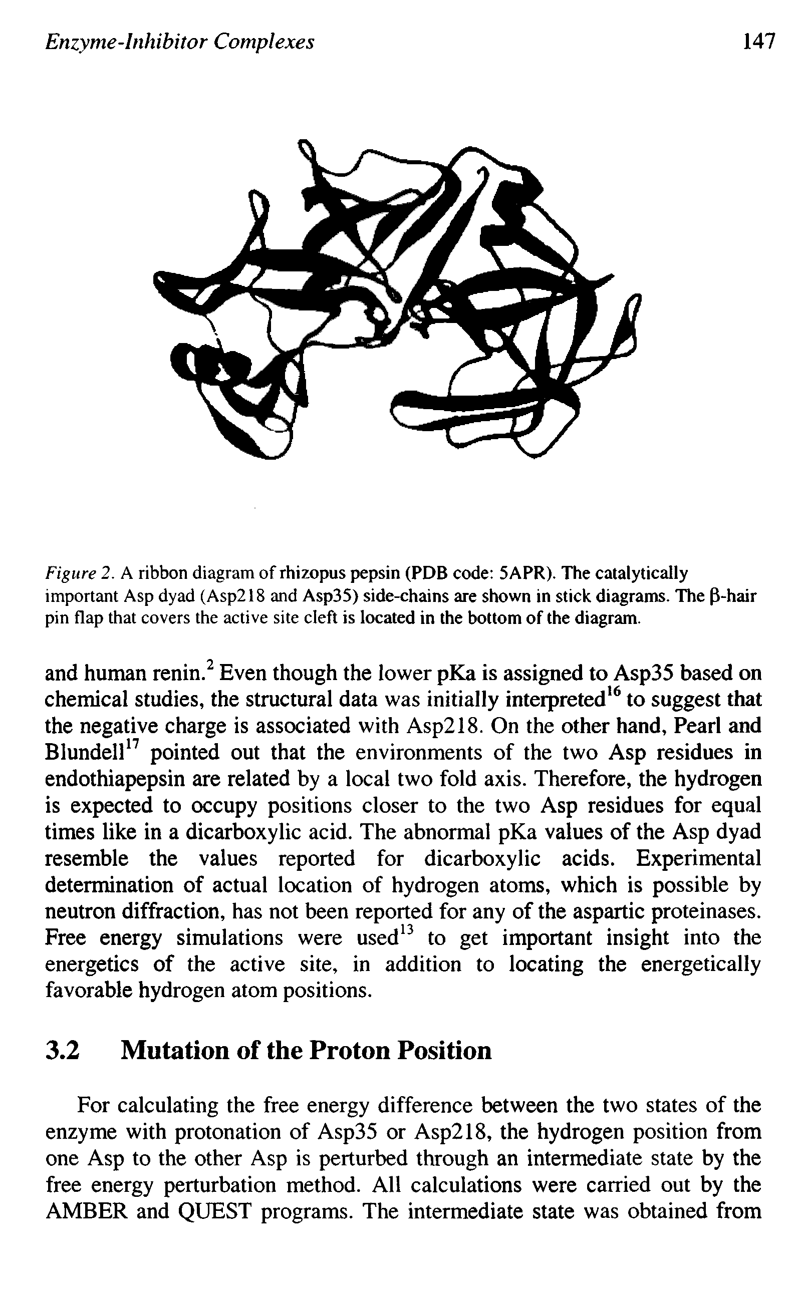 Figure 2. A ribbon diagram of rhizopus pepsin (PDB code 5APR). The catalytically important Asp dyad (Asp218 and Asp35) side-chains are shown in stick diagrams. The P-hair pin flap that covers the active site cleft is located in the bottom of the diagram.