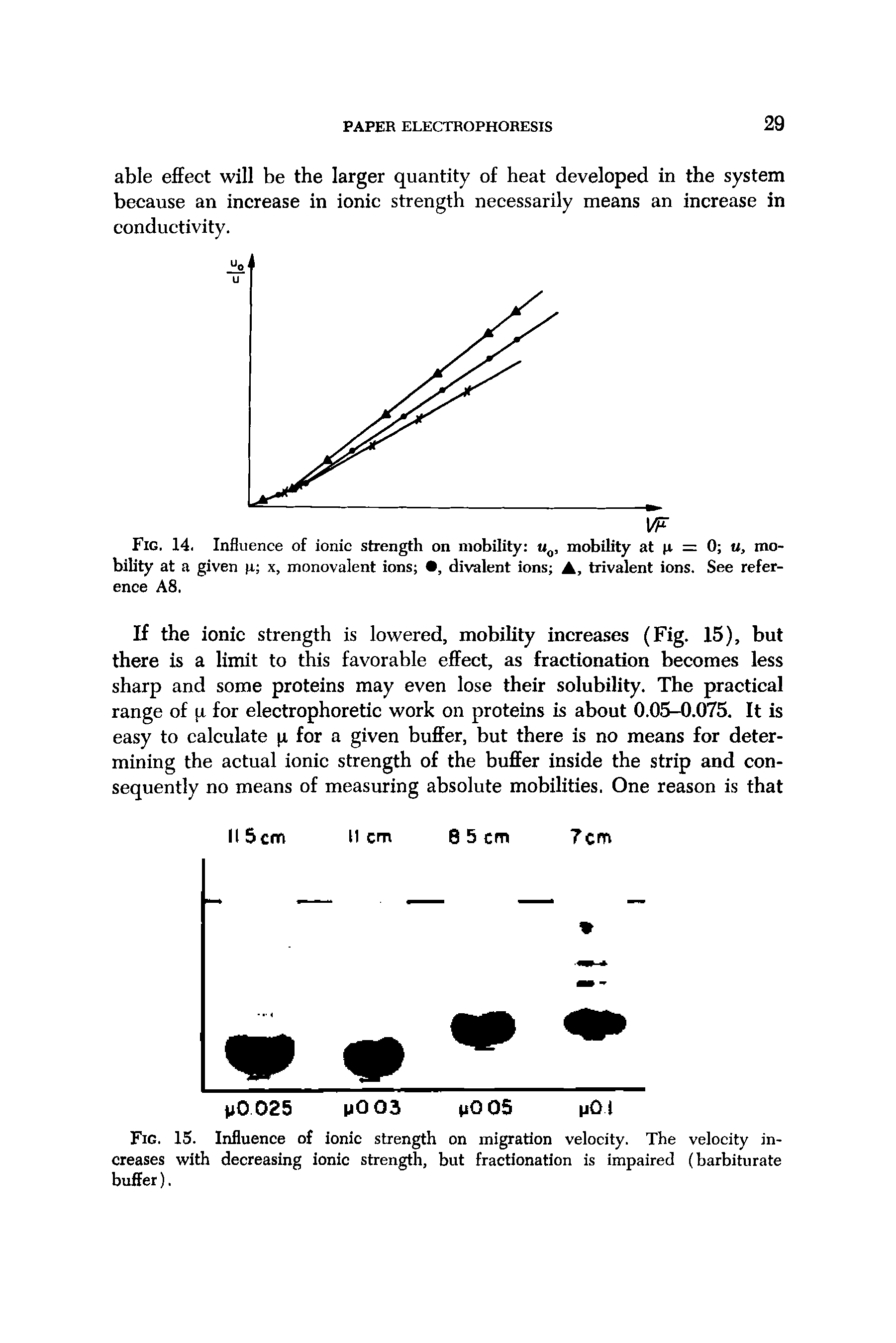 Fig. 15. Influence of ionic strength on migration velocity. The velocity increases with decreasing ionic strength, but fractionation is impaired (barbiturate buffer).