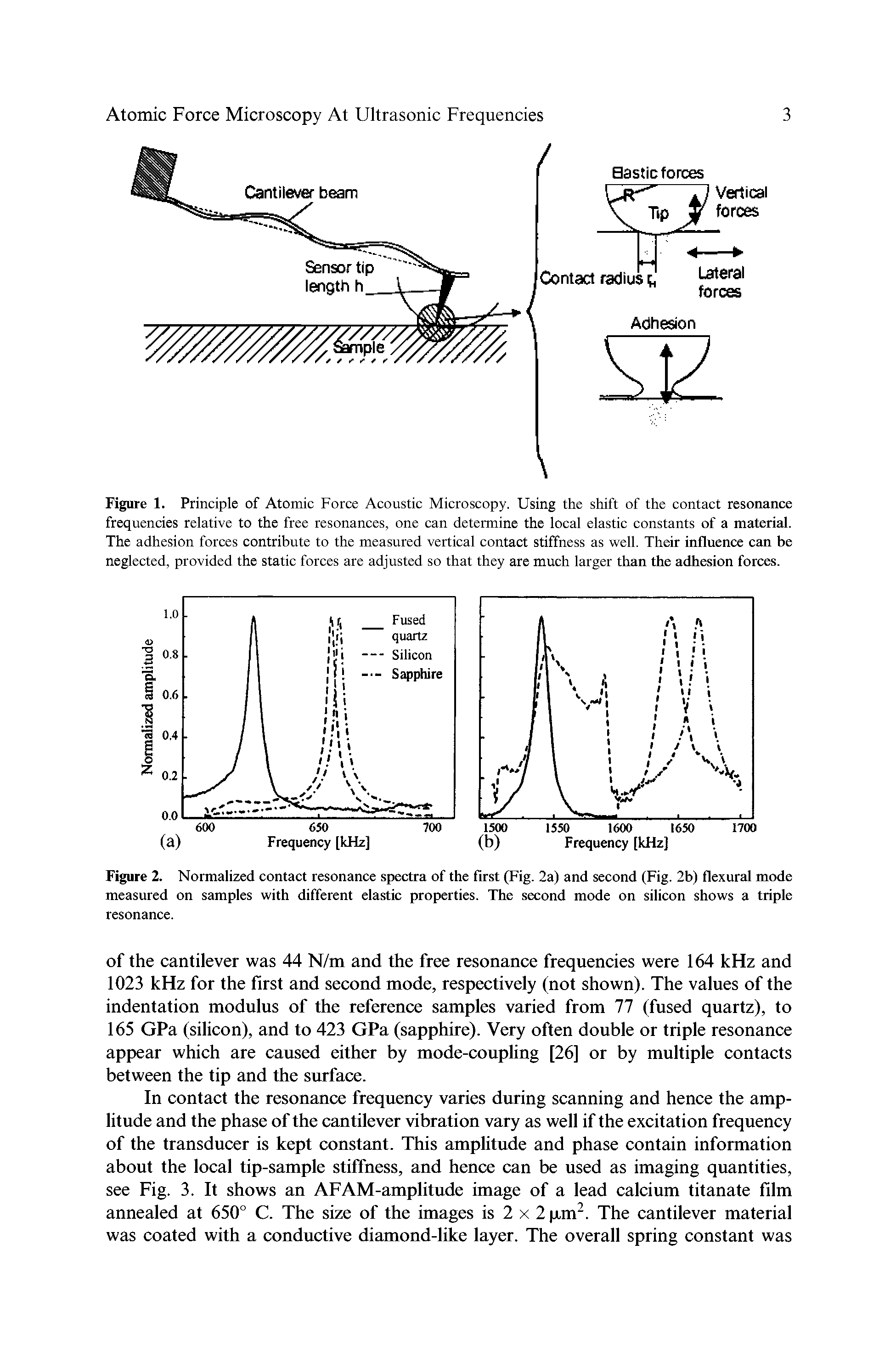 Figure 1. Principle of Atomic Force Acoustic Microscopy. Using the shift of the contact resonance frequencies relative to the free resonances, one can determine the local elastic constants of a material. The adhesion forces contribute to the measured vertical contact stiffness as well. Their influence can be neglected, provided the static forces are adjusted so that they are much larger than the adhesion forces.