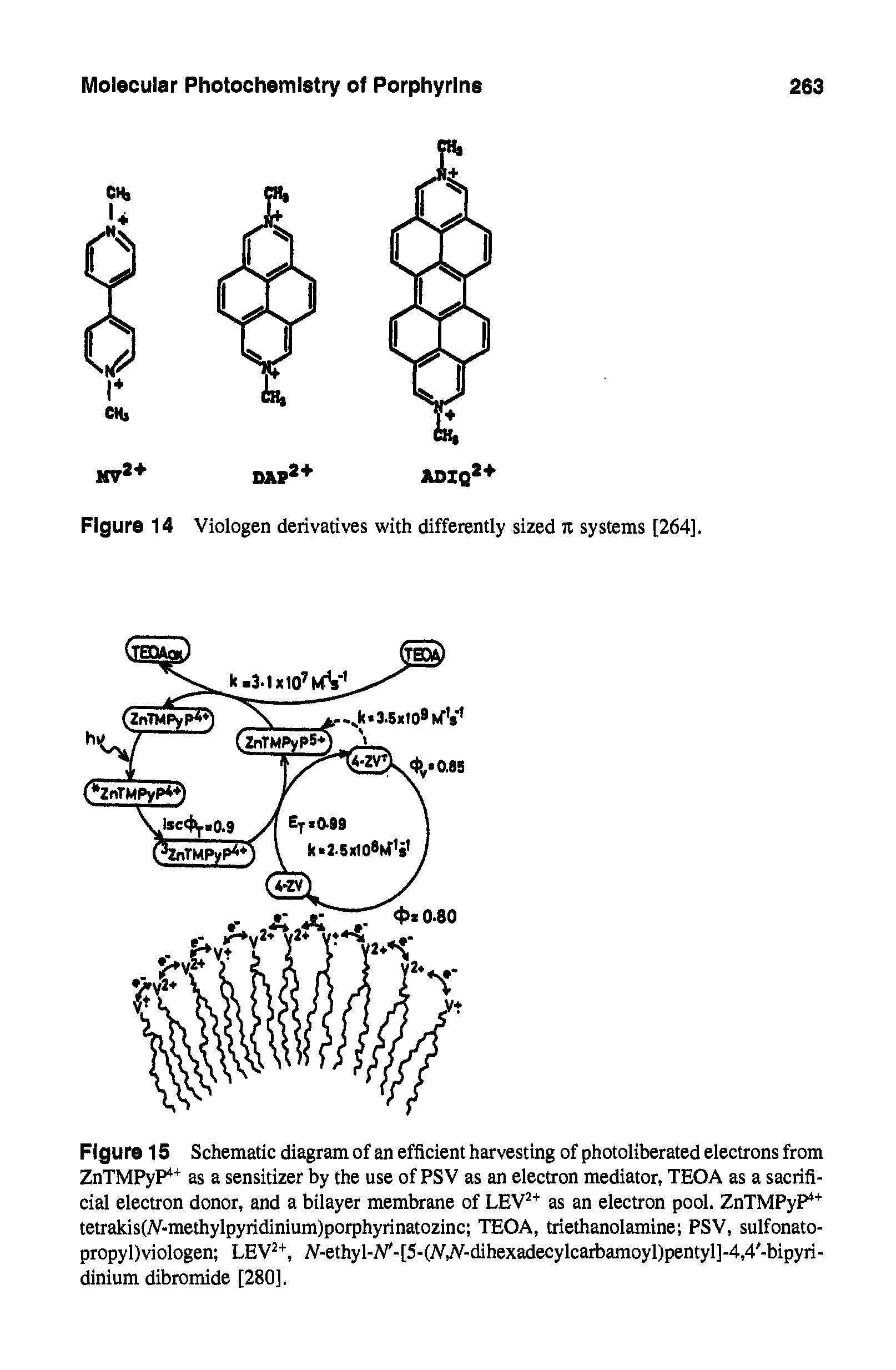Figure 15 Schematic diagram of an efficient harvesting of photoliberated electrons from ZnTMPyP as a sensitizer by the use of PSV as an electron mediator, TEOA as a sacrificial electron donor, and a bilayer membrane of LEV as an electron pool. ZnTMPyP tetrakis(A -methylpyridinium)porphyrinatozinc TEOA, triethanolamine PSV, sulfonato-propyl)viologen LEV, V-ethyl-V -[5-(VA -dihexadecylcarbamoyl)pentyl]-4,4 -bipyri-dinium dibromide [280],...